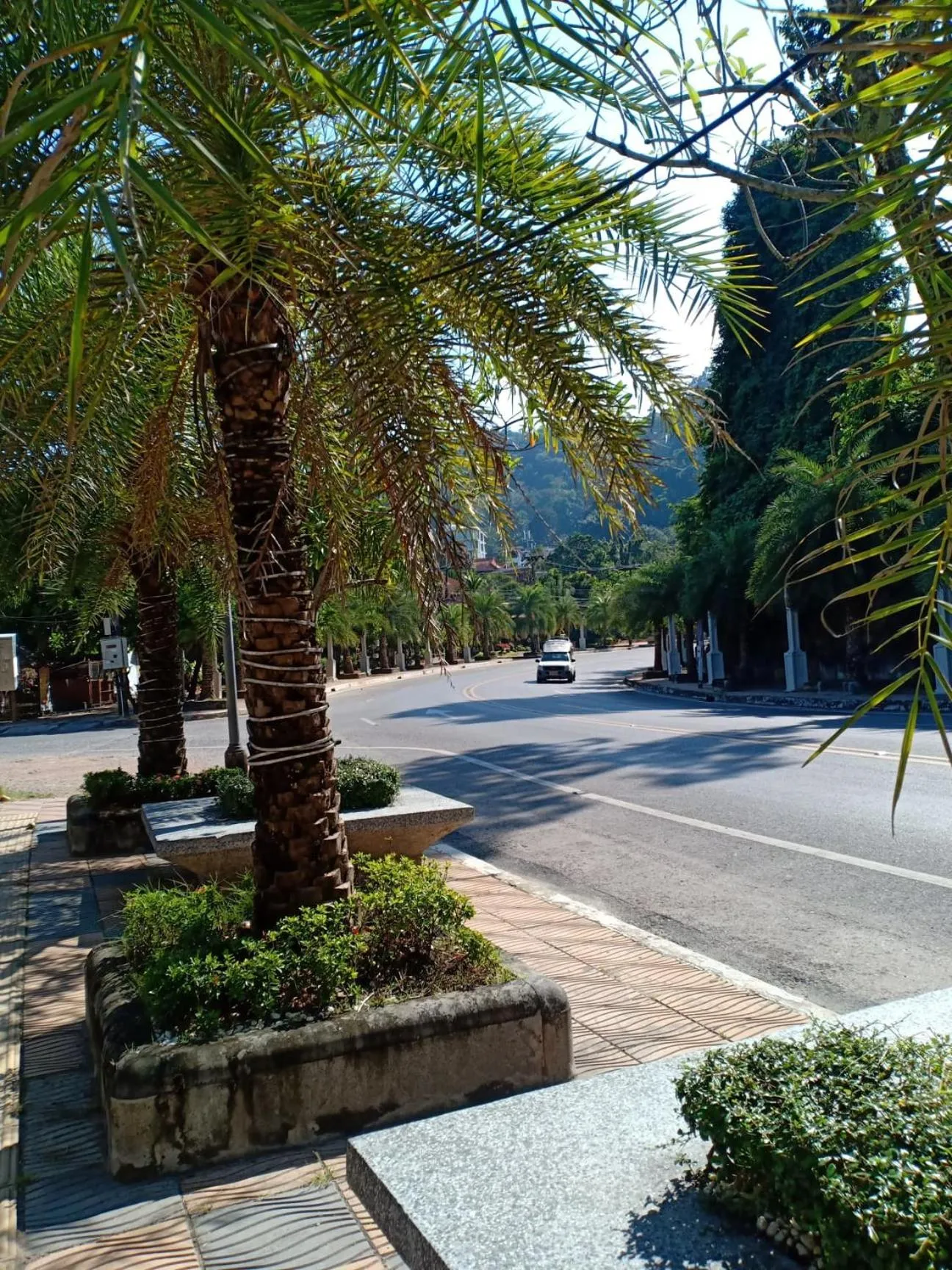 The Krabi Forest Homestay