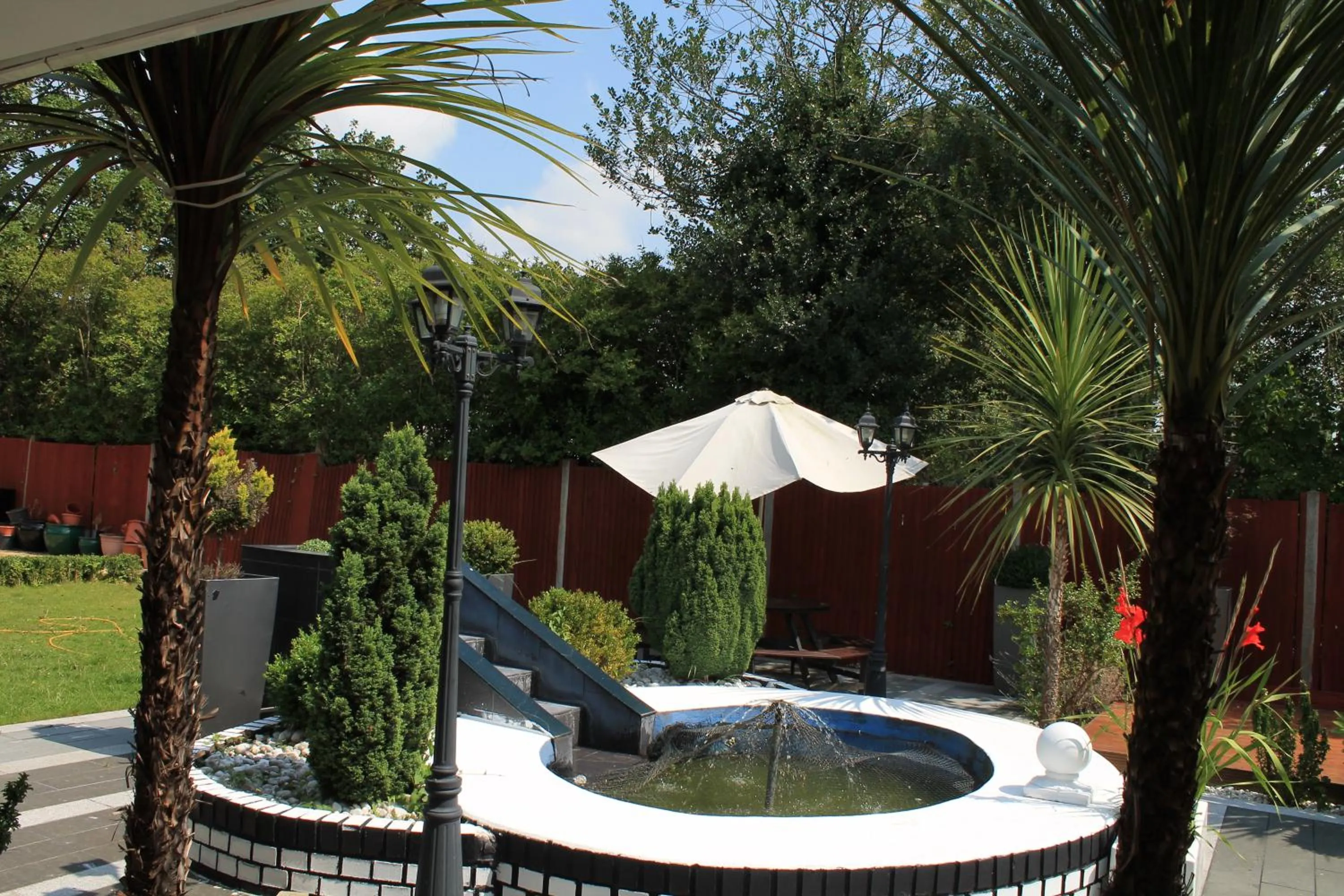 Garden in Skylark Guest House