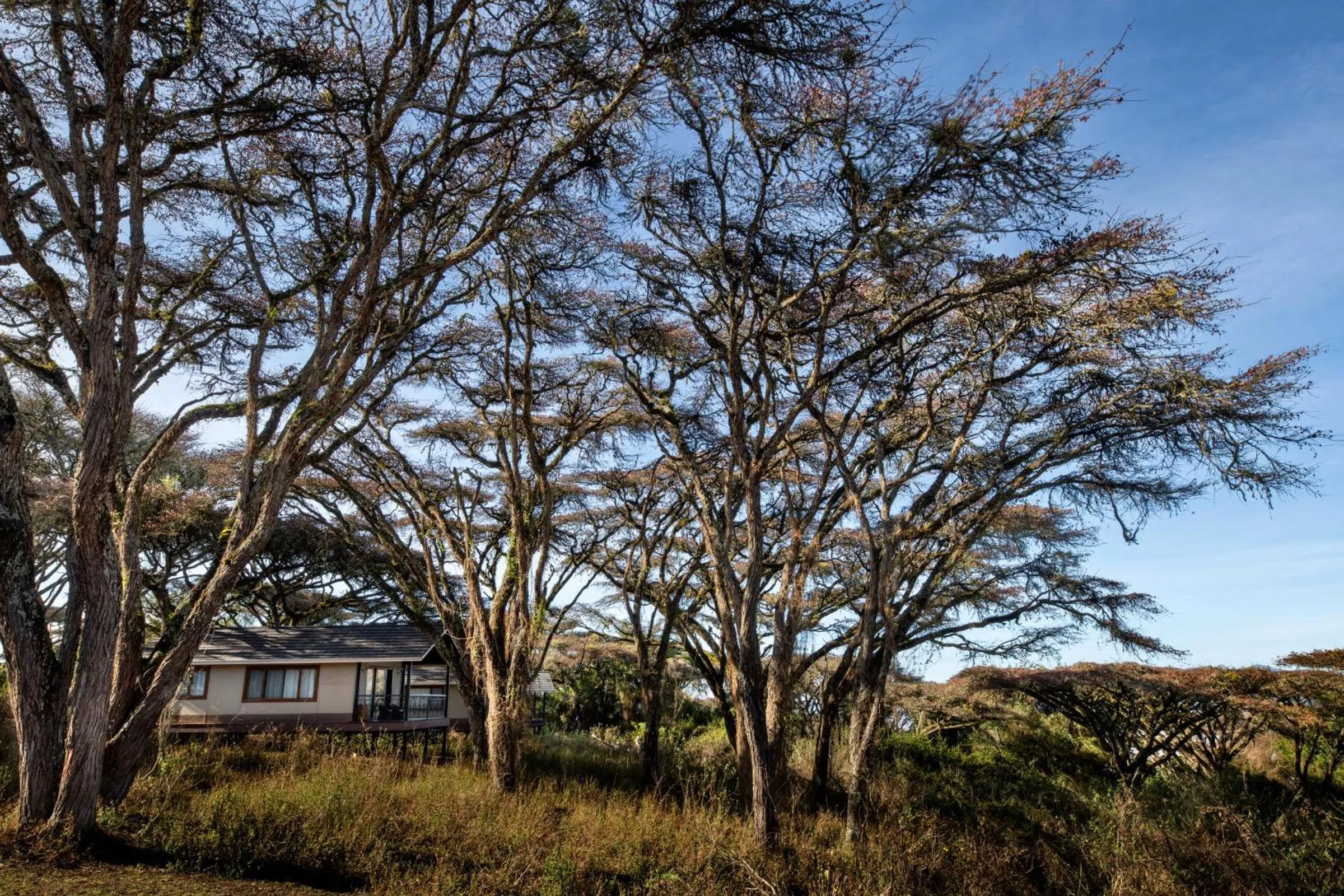 Property building in Lions Paw Ngorongoro