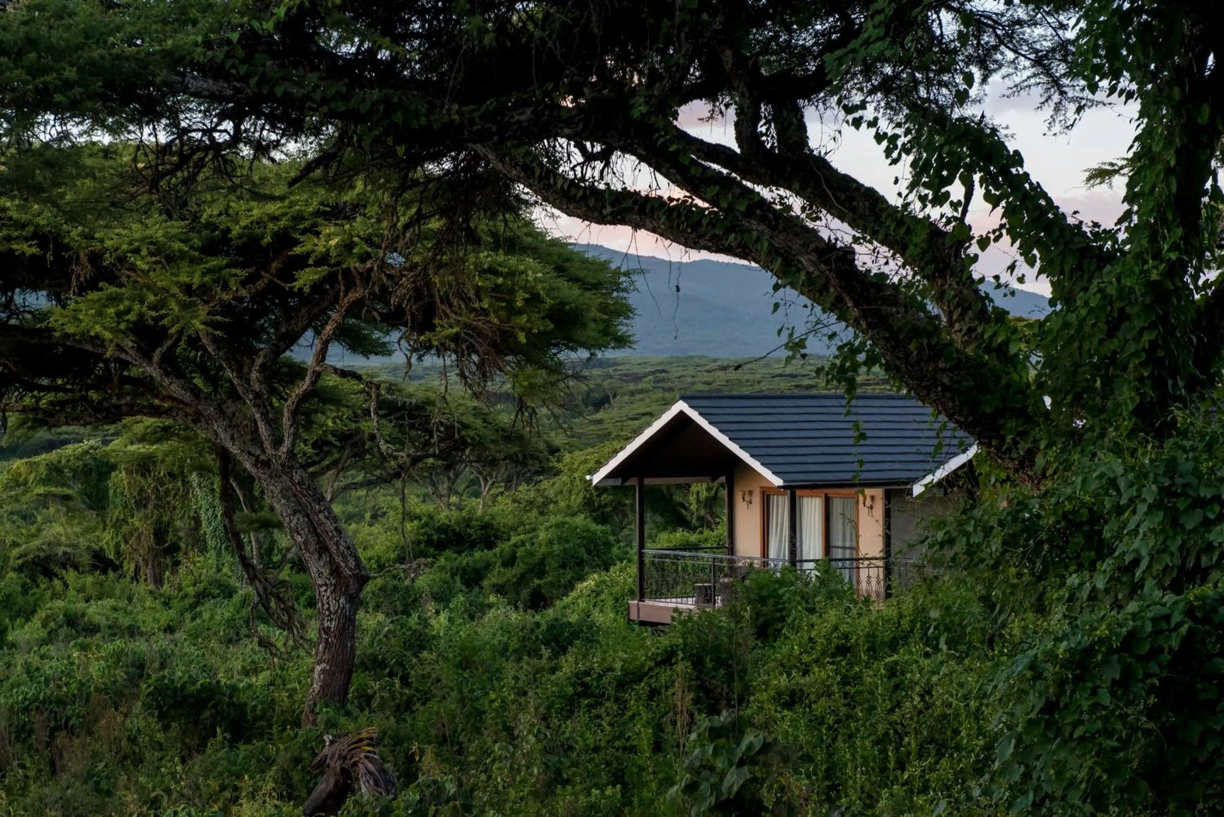 Property building in Lions Paw Ngorongoro