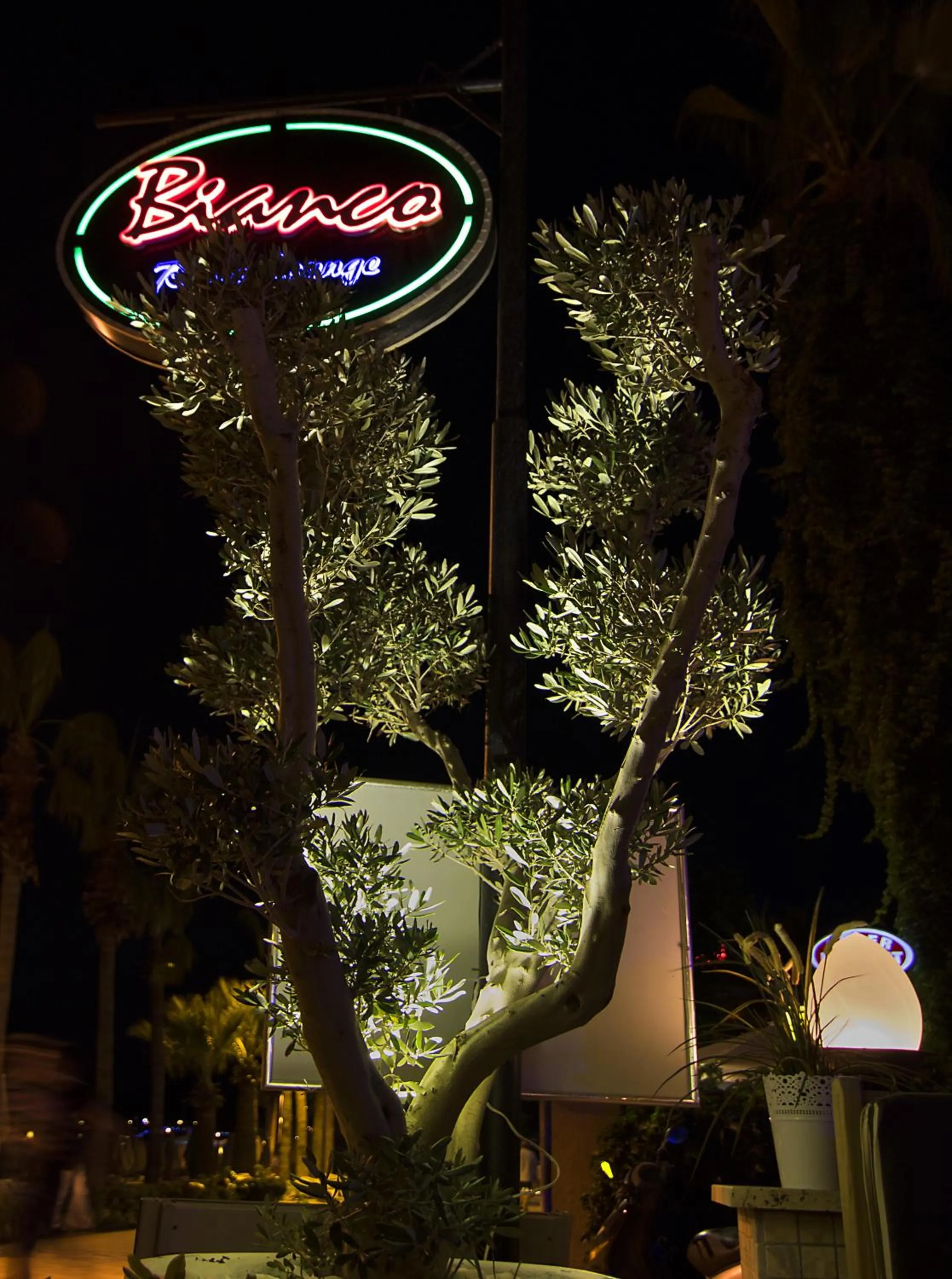 Property logo or sign in Romance Beach Hotel