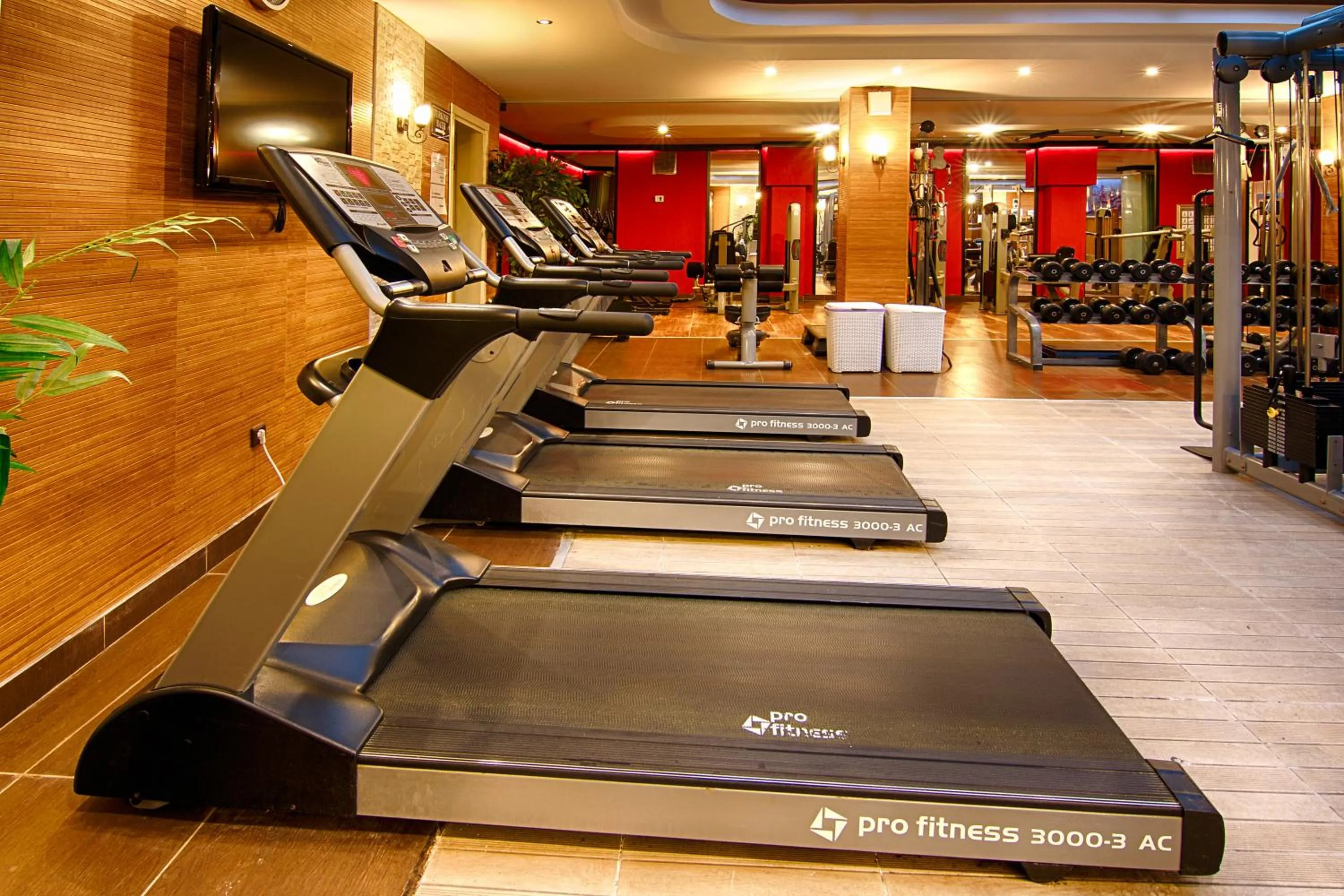 Massage in Romance Beach Hotel