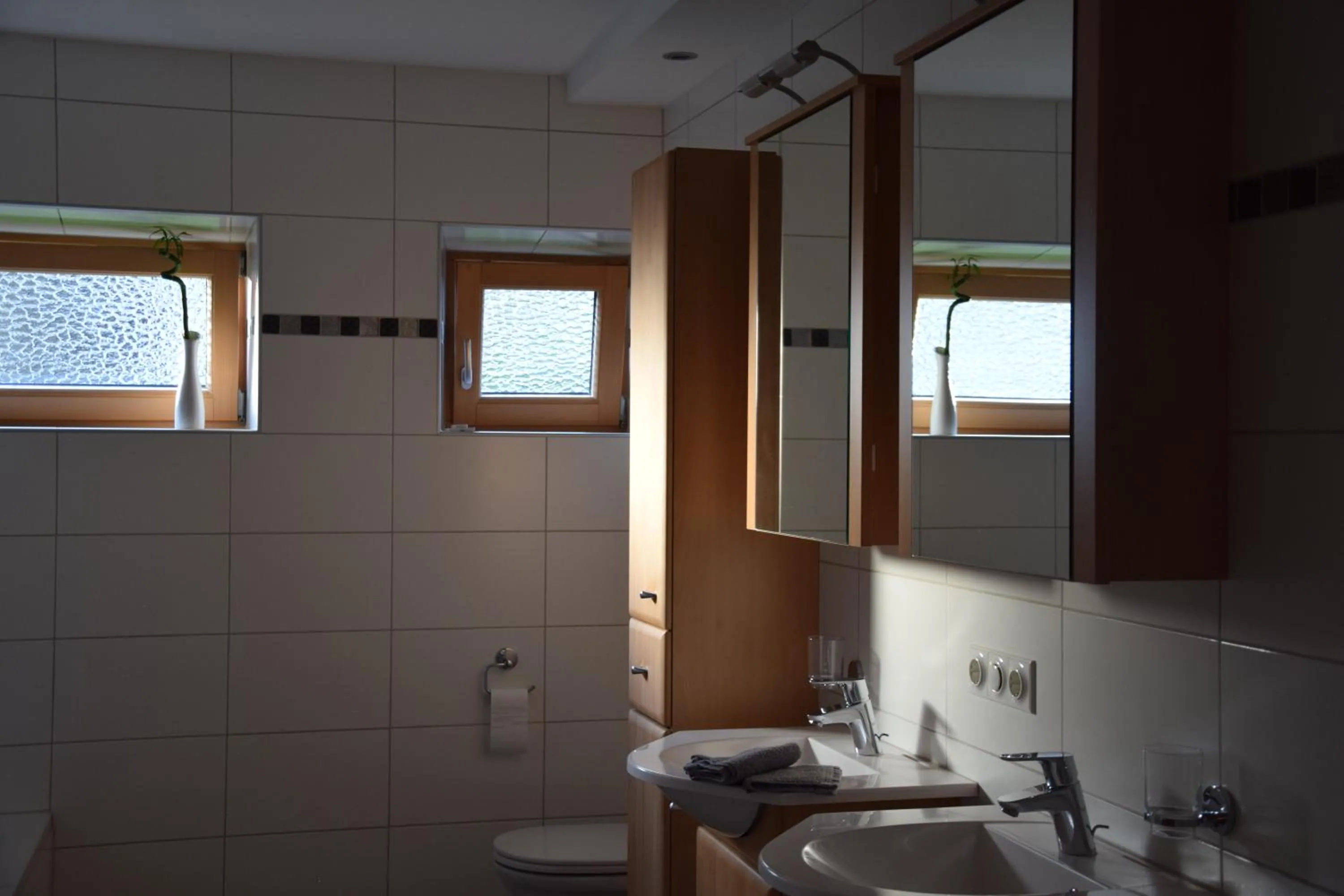 Toilet in Dorfhof
