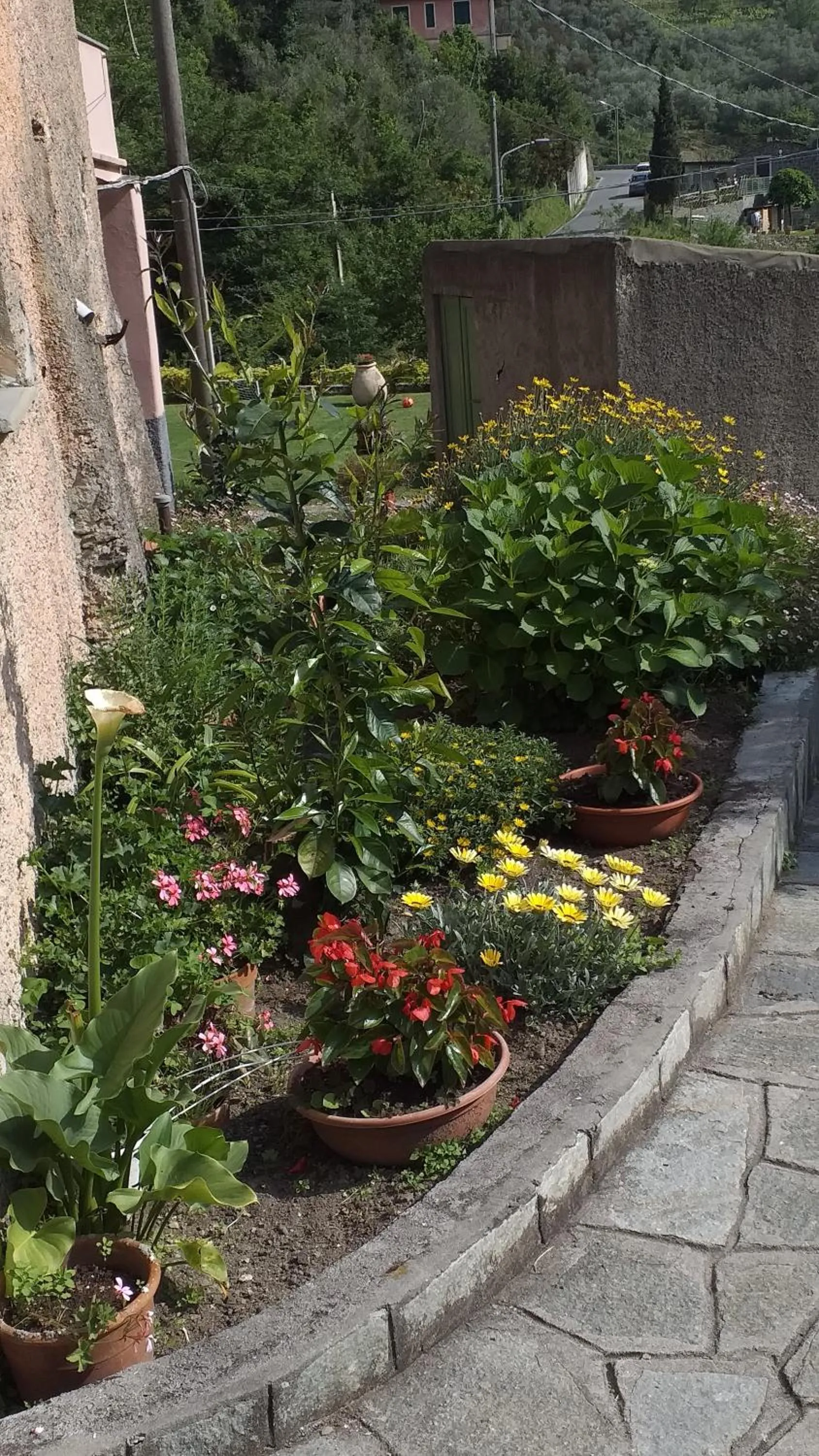 Garden in La camera del mulino