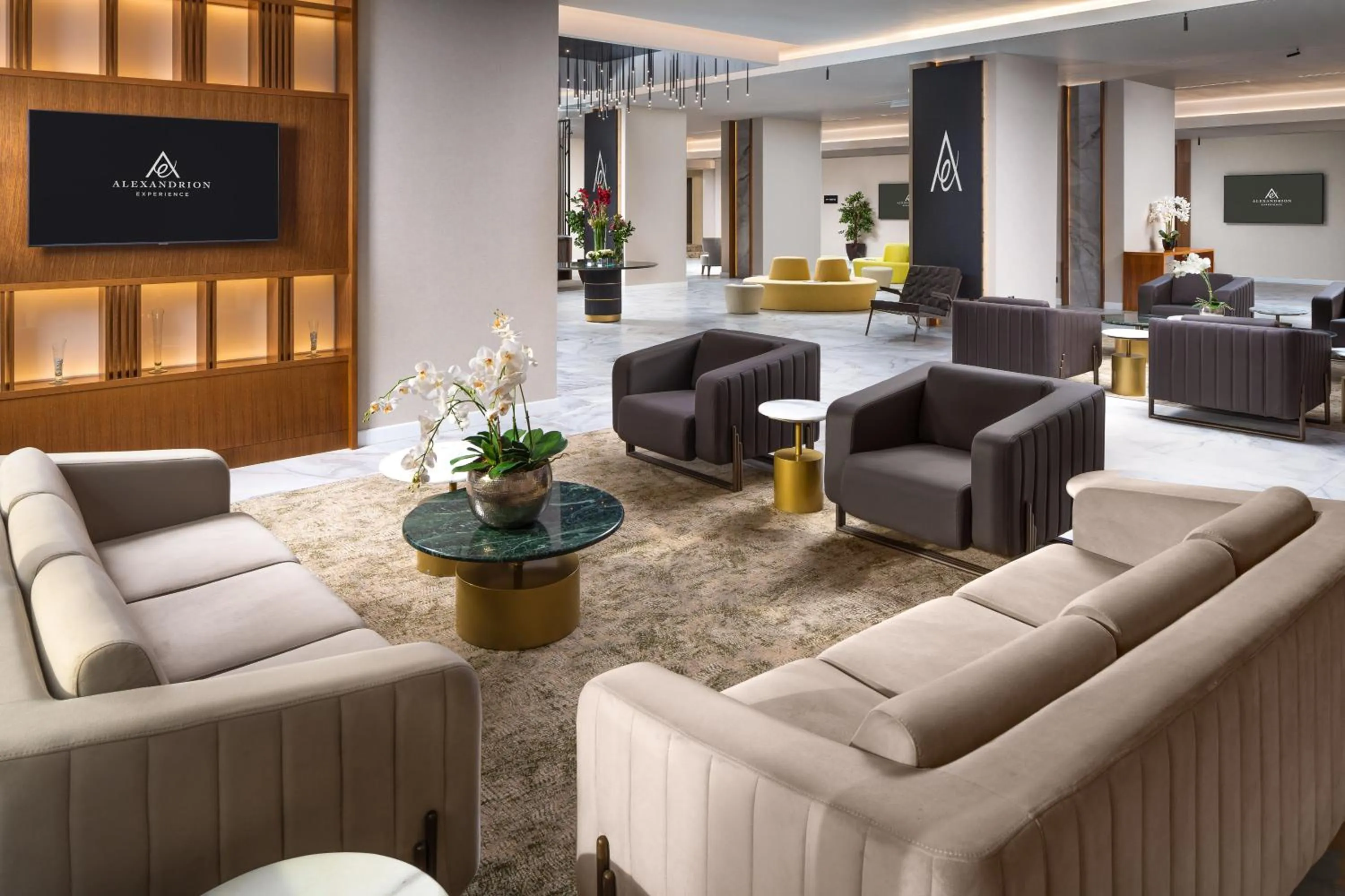 TV and multimedia in Hotel Alexandrion Experience