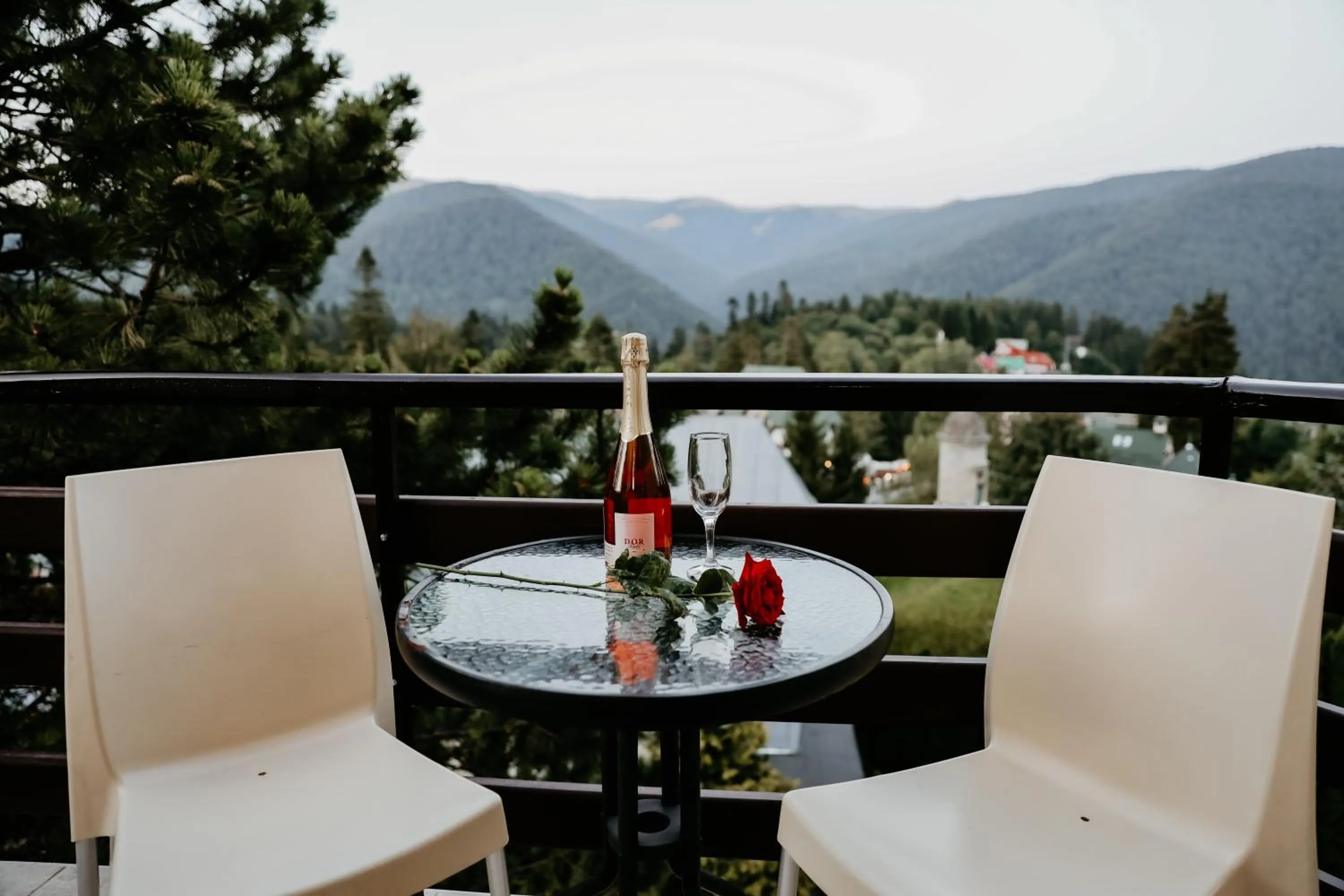 Balcony/Terrace in Hotel Marea Neagra