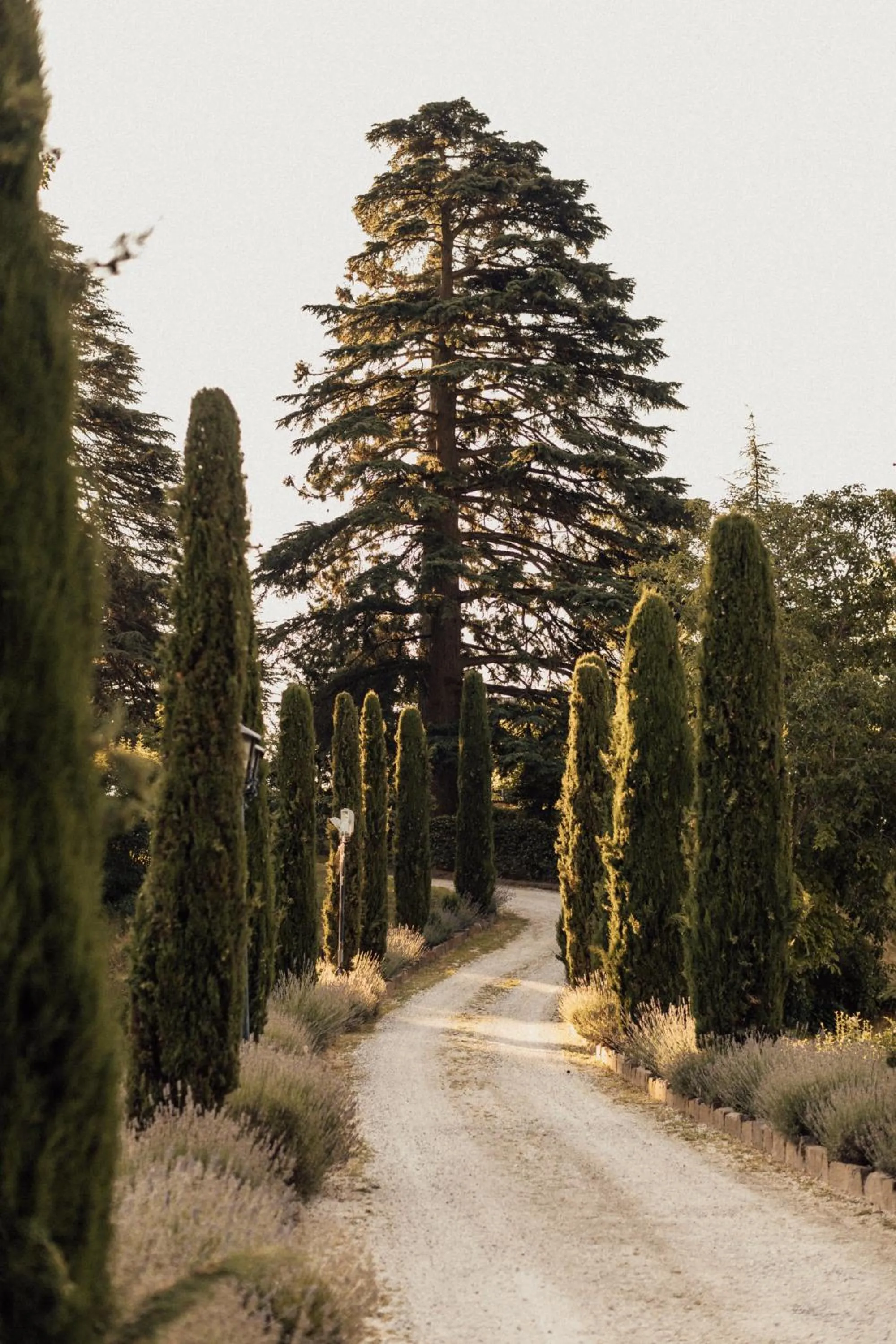 Natural landscape in Schloss Freudenstein