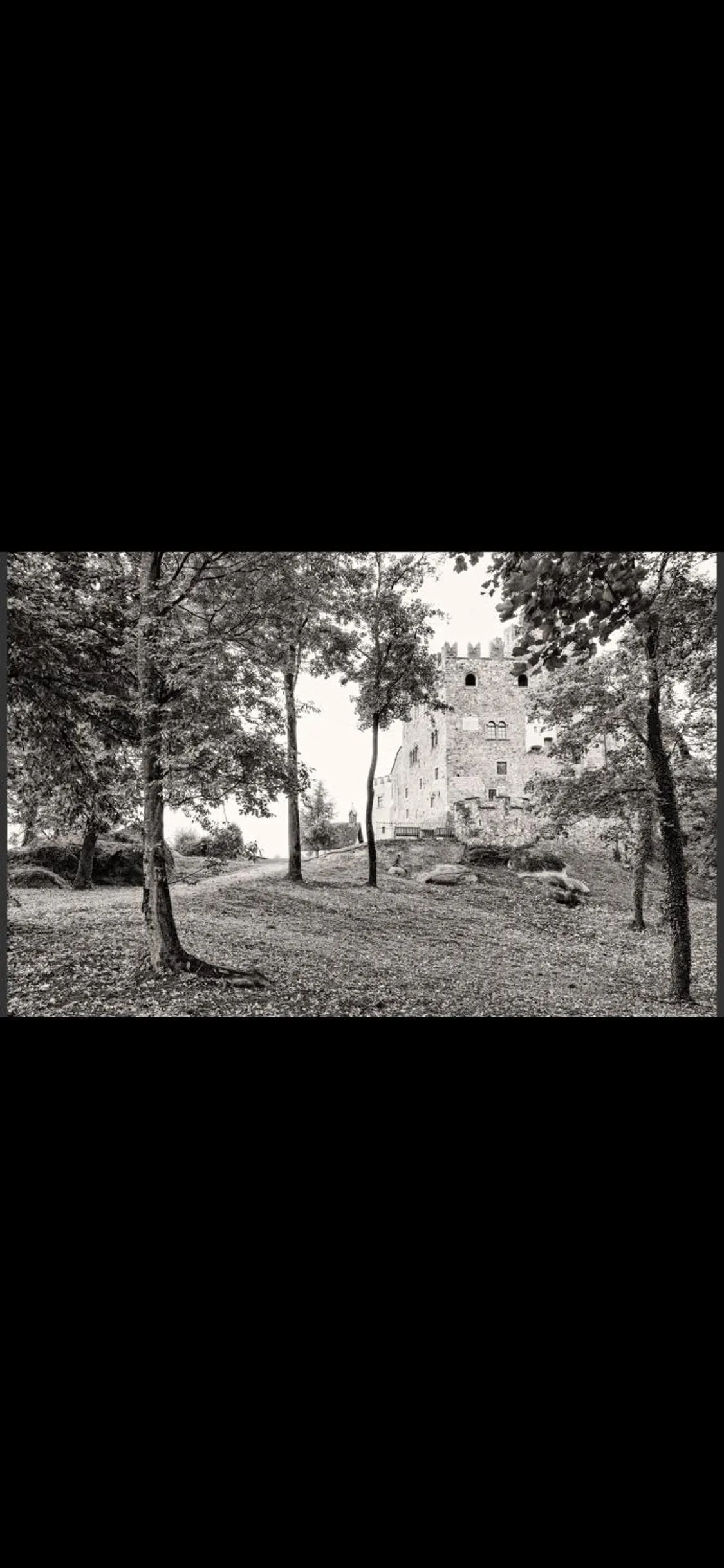 Natural landscape in Schloss Freudenstein