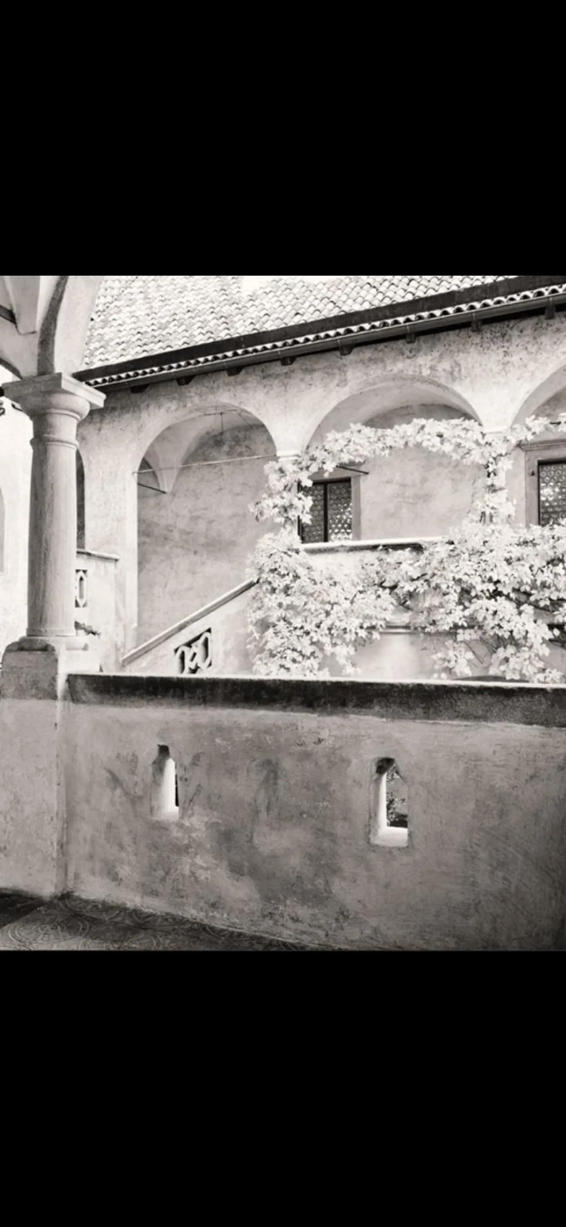 Patio in Schloss Freudenstein