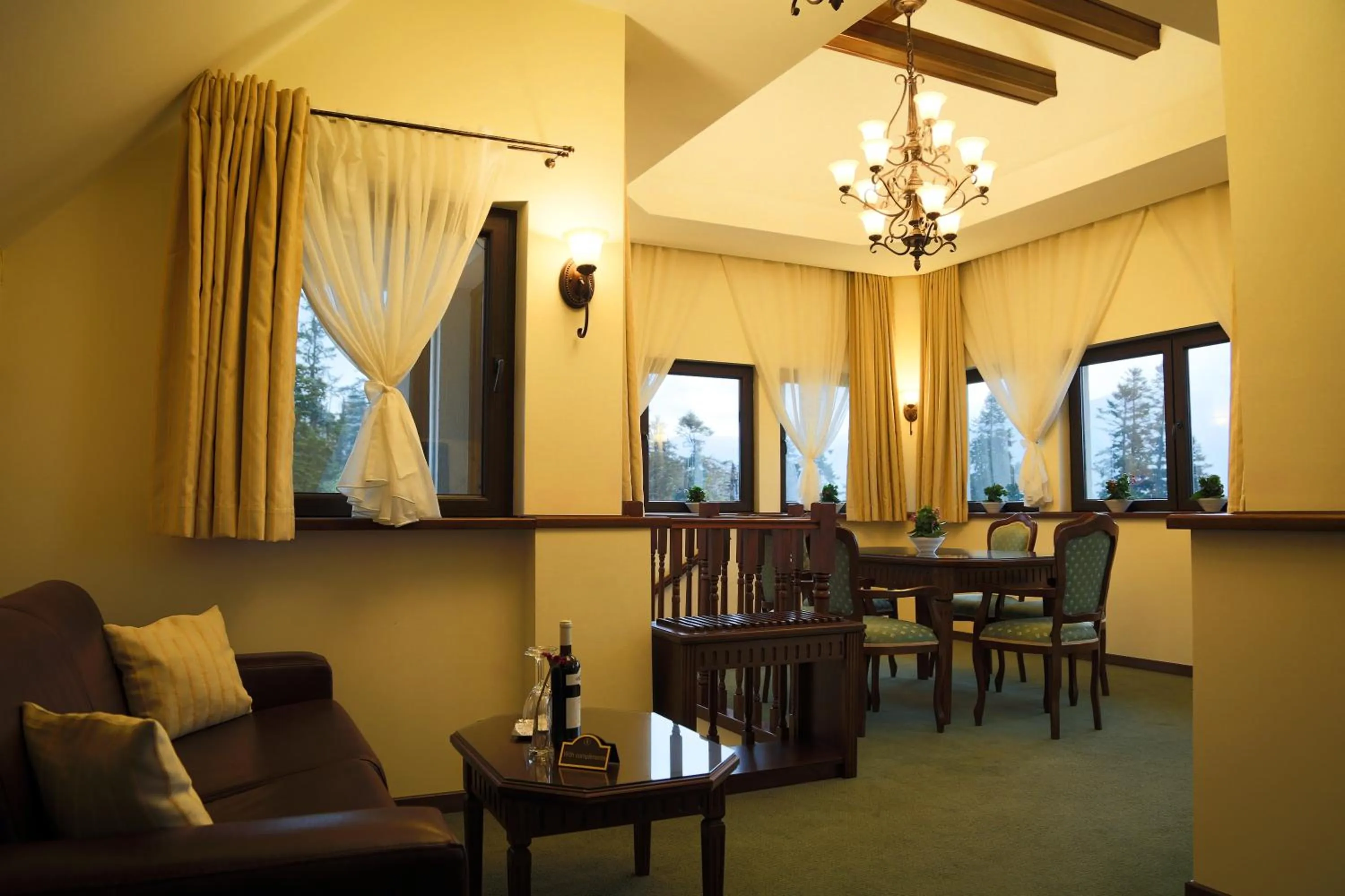 Living room in Hotel Foisorul cu Flori