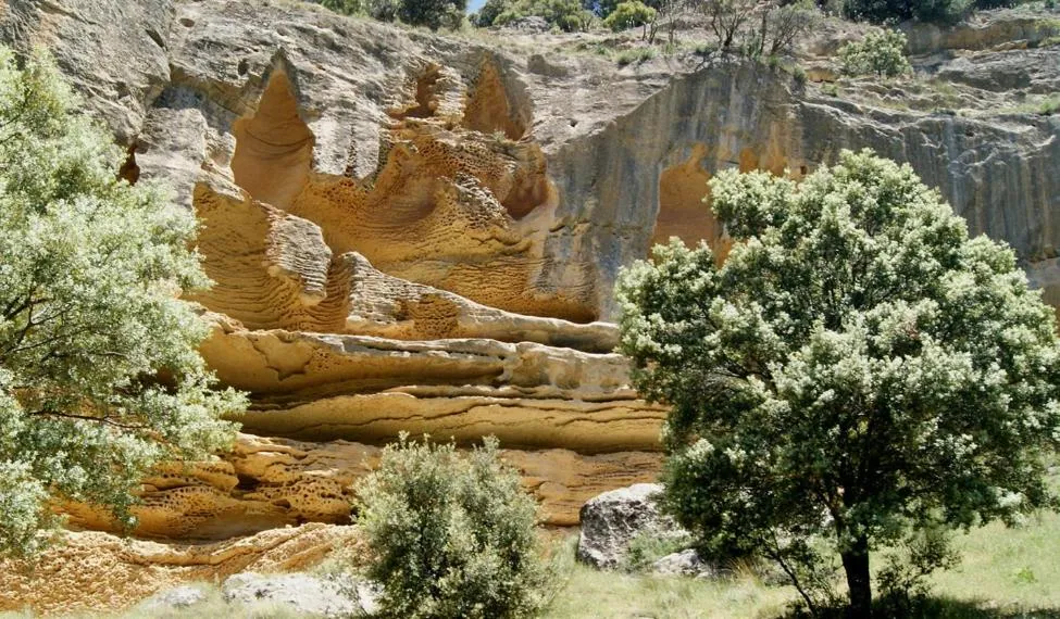 Natural landscape in Casa del Renacimiento