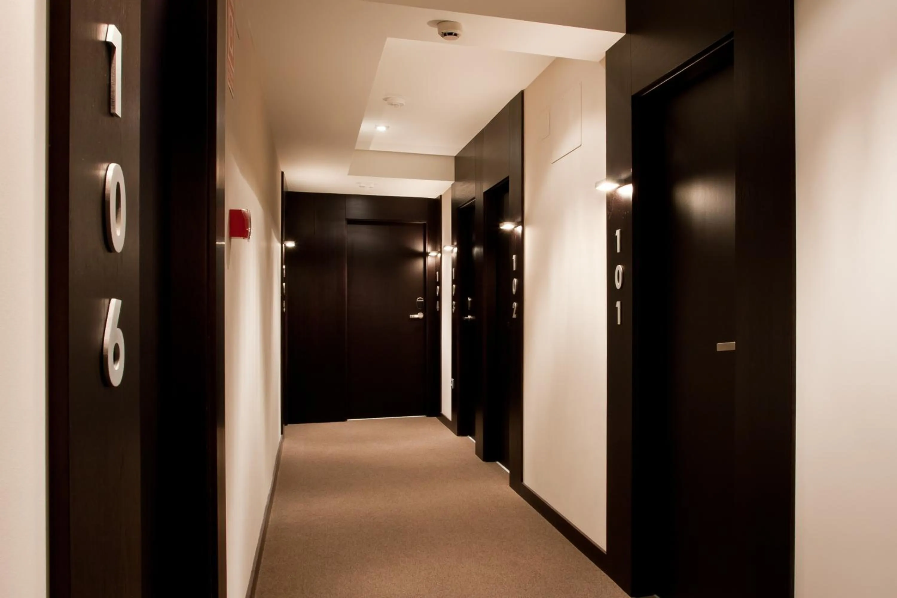 Other in Hotel Paloma