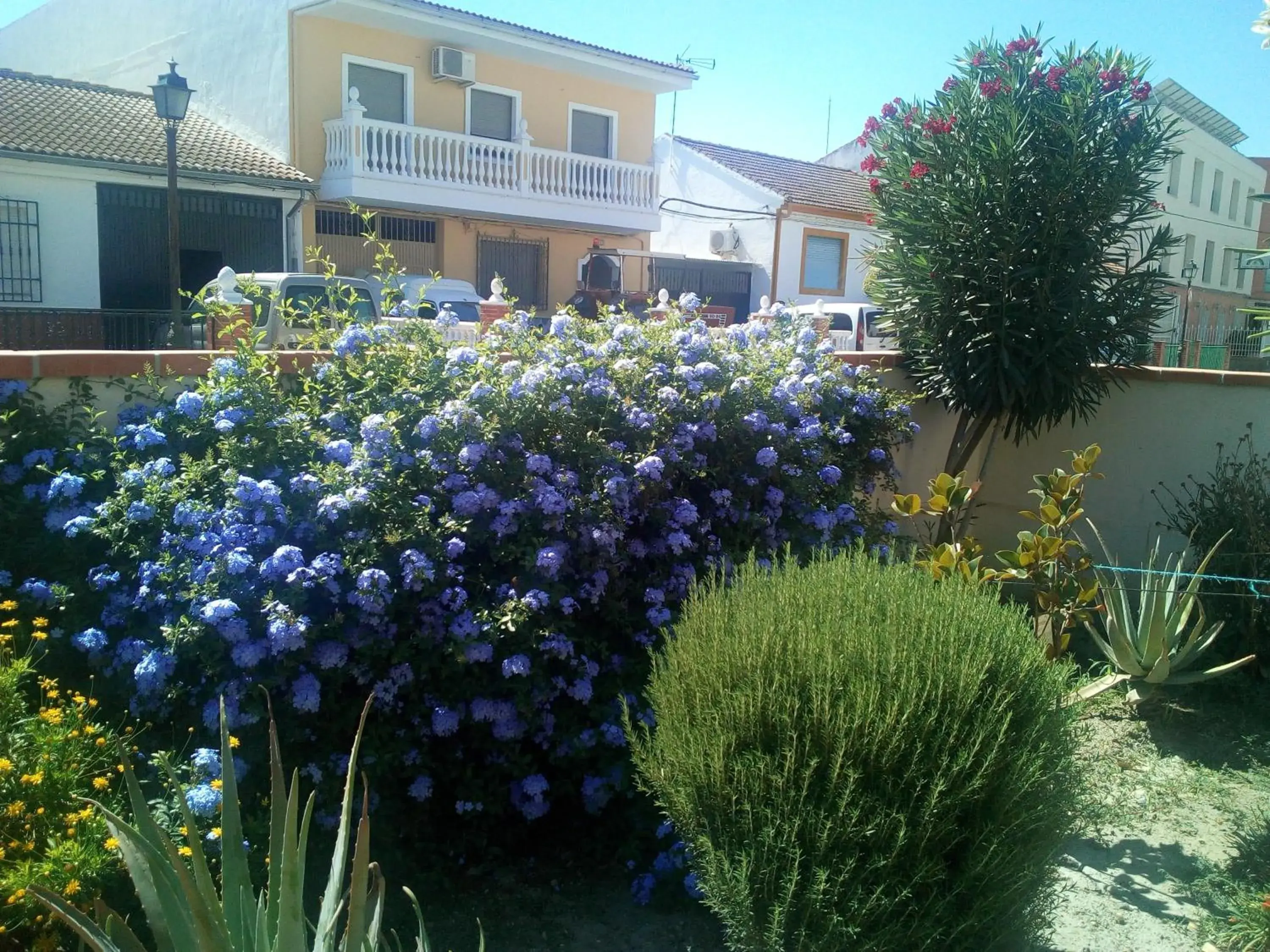 Apartment with Garden View in Casa de Mar y Kanela 17 km Granada Apartment with Garden View in Casa de Mar y Kanela 17 km Granada