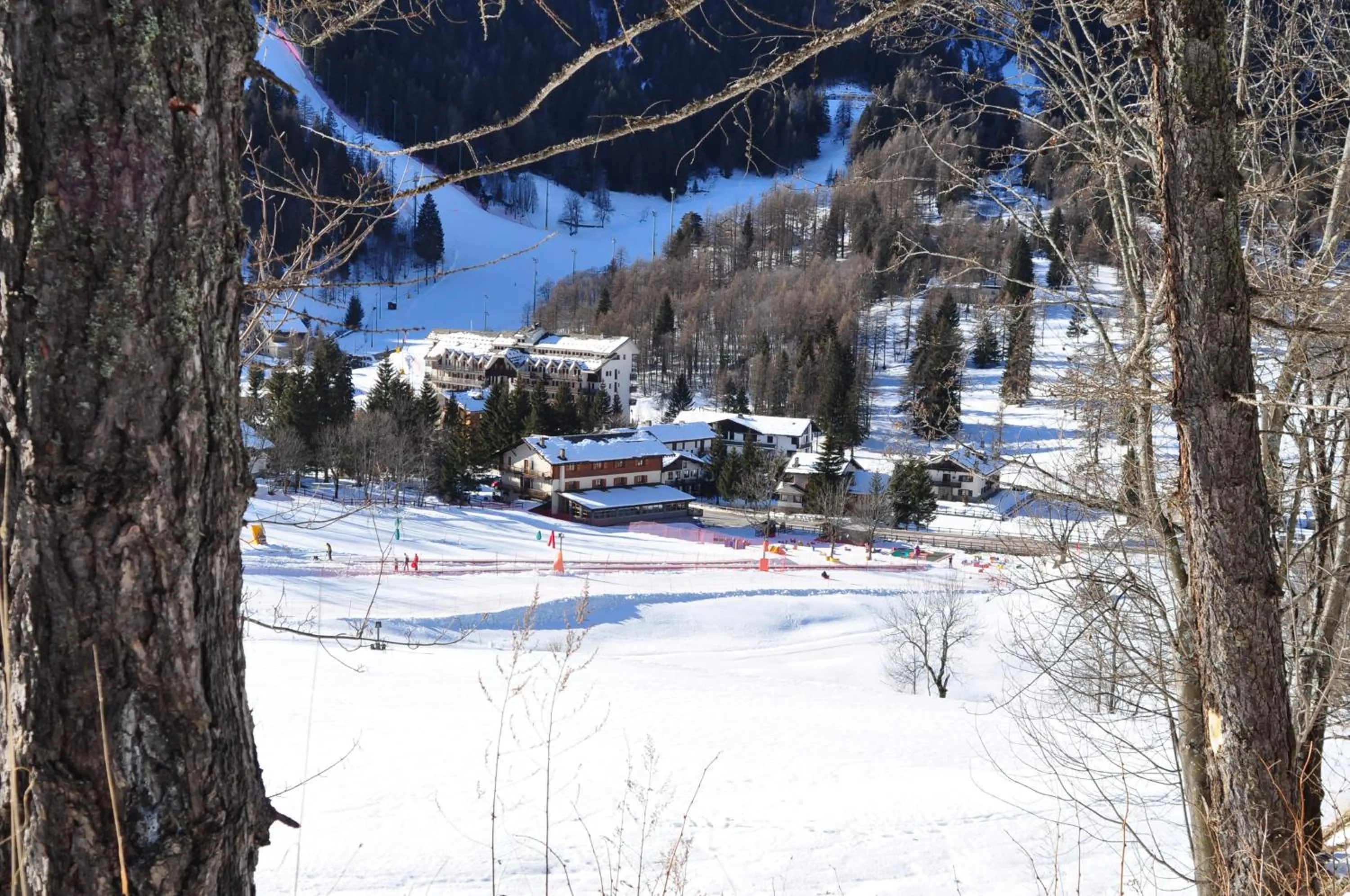 Facade/entrance in Hotel Flora Alpina