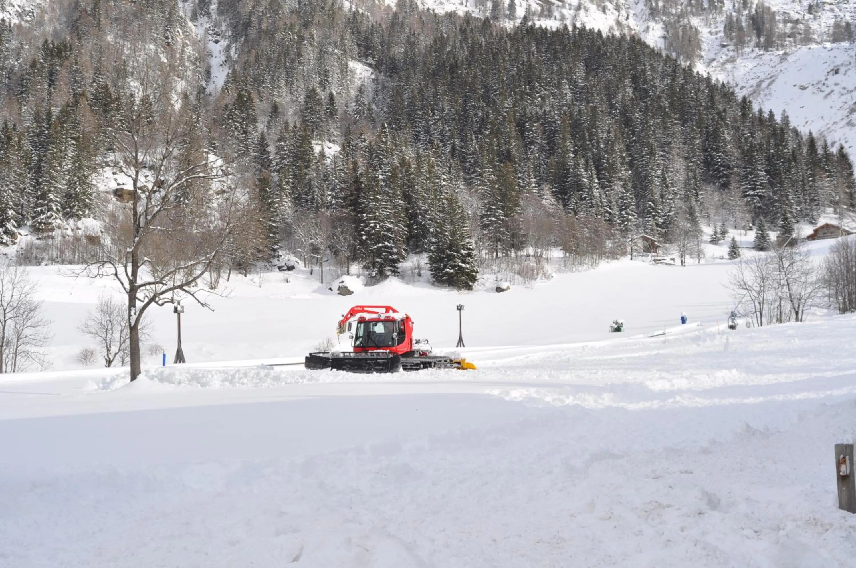 Facade/entrance in Hotel Flora Alpina