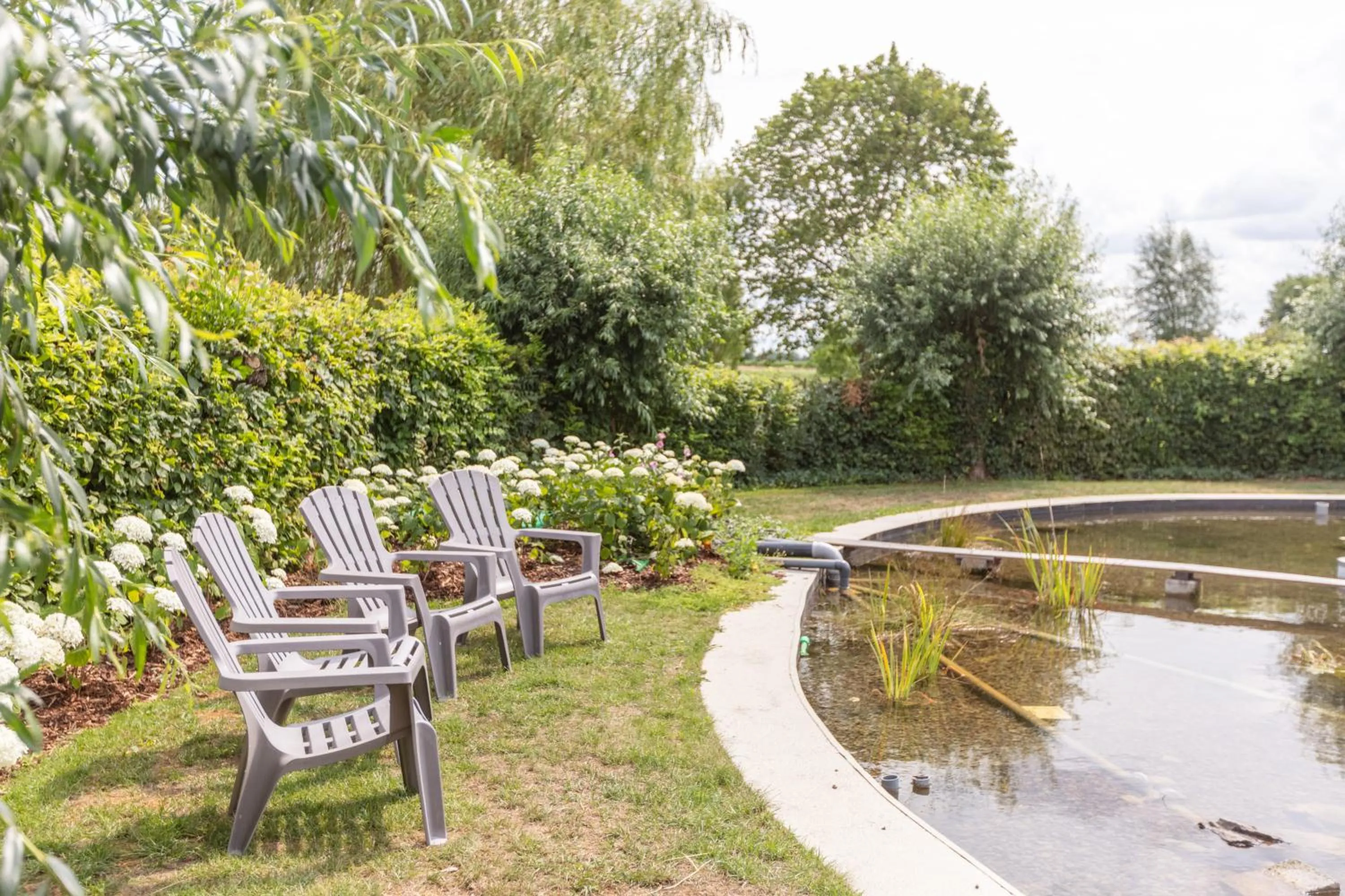 Garden in B&B Het Eycken Huys