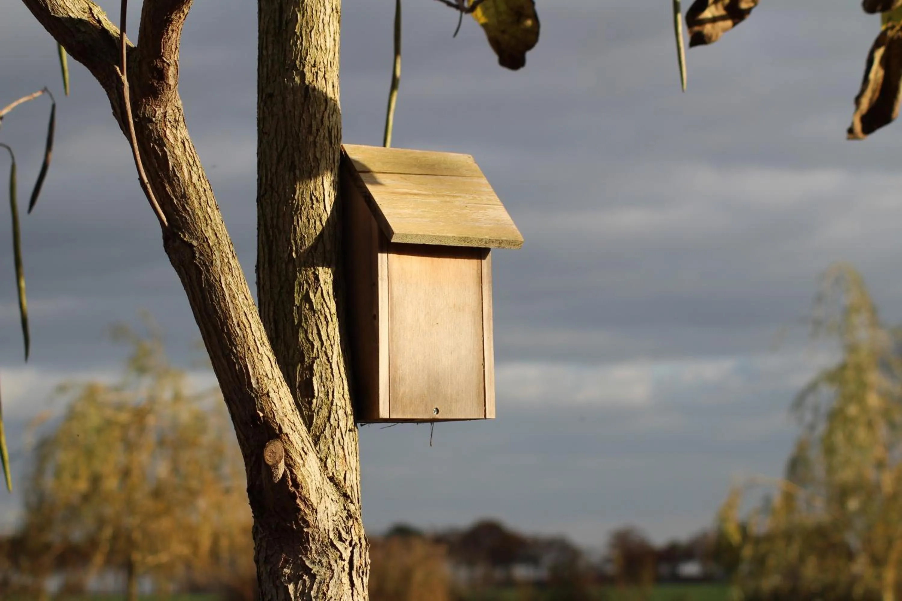 Autumn in B&B Het Eycken Huys