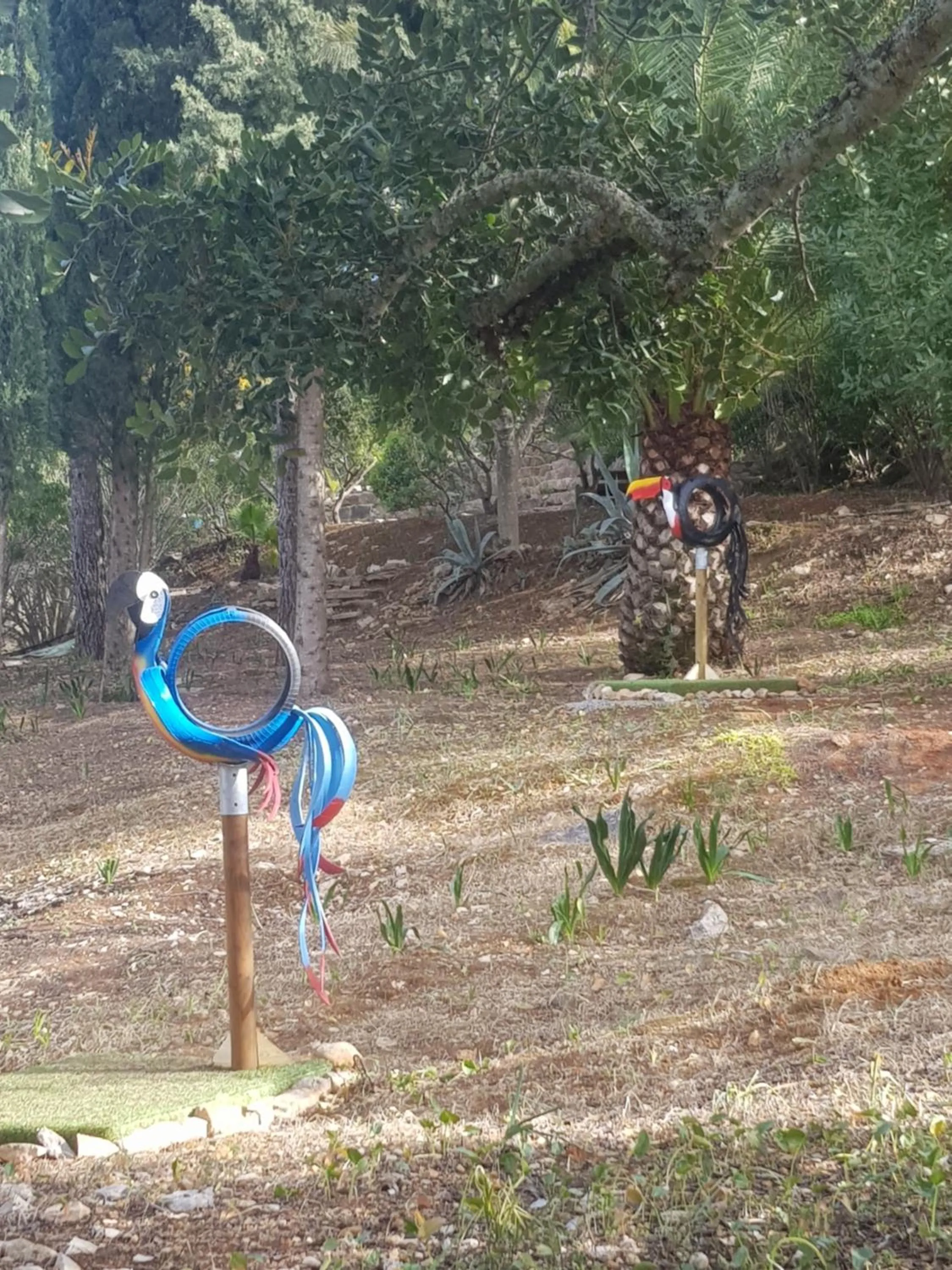 Minigolf in Monte-Bougainvillea