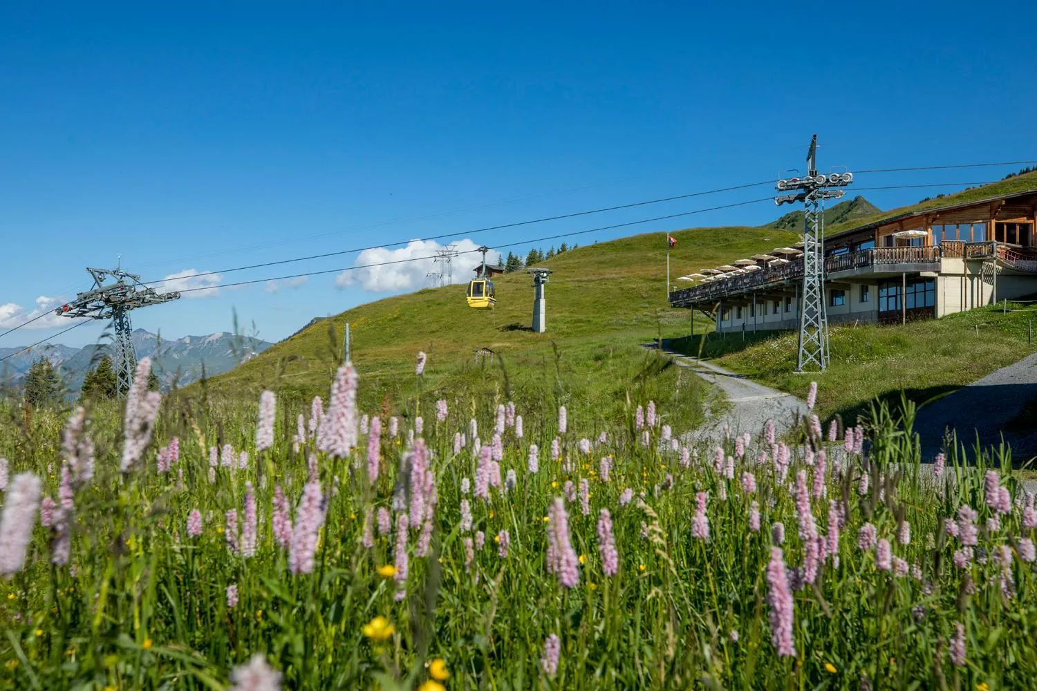 Natural landscape in Hotel Reuti