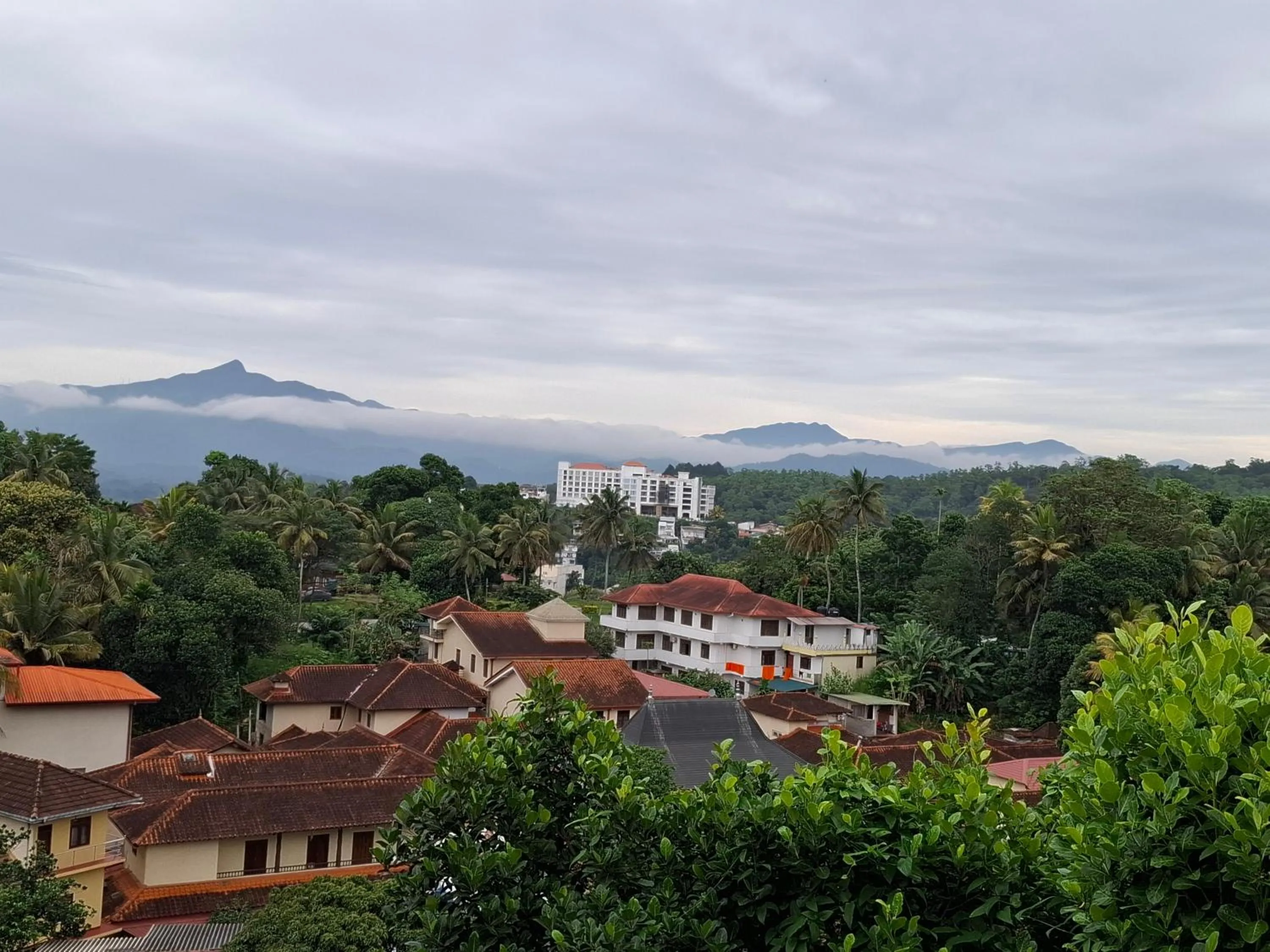Mountain view in Blue Pillars Kandy