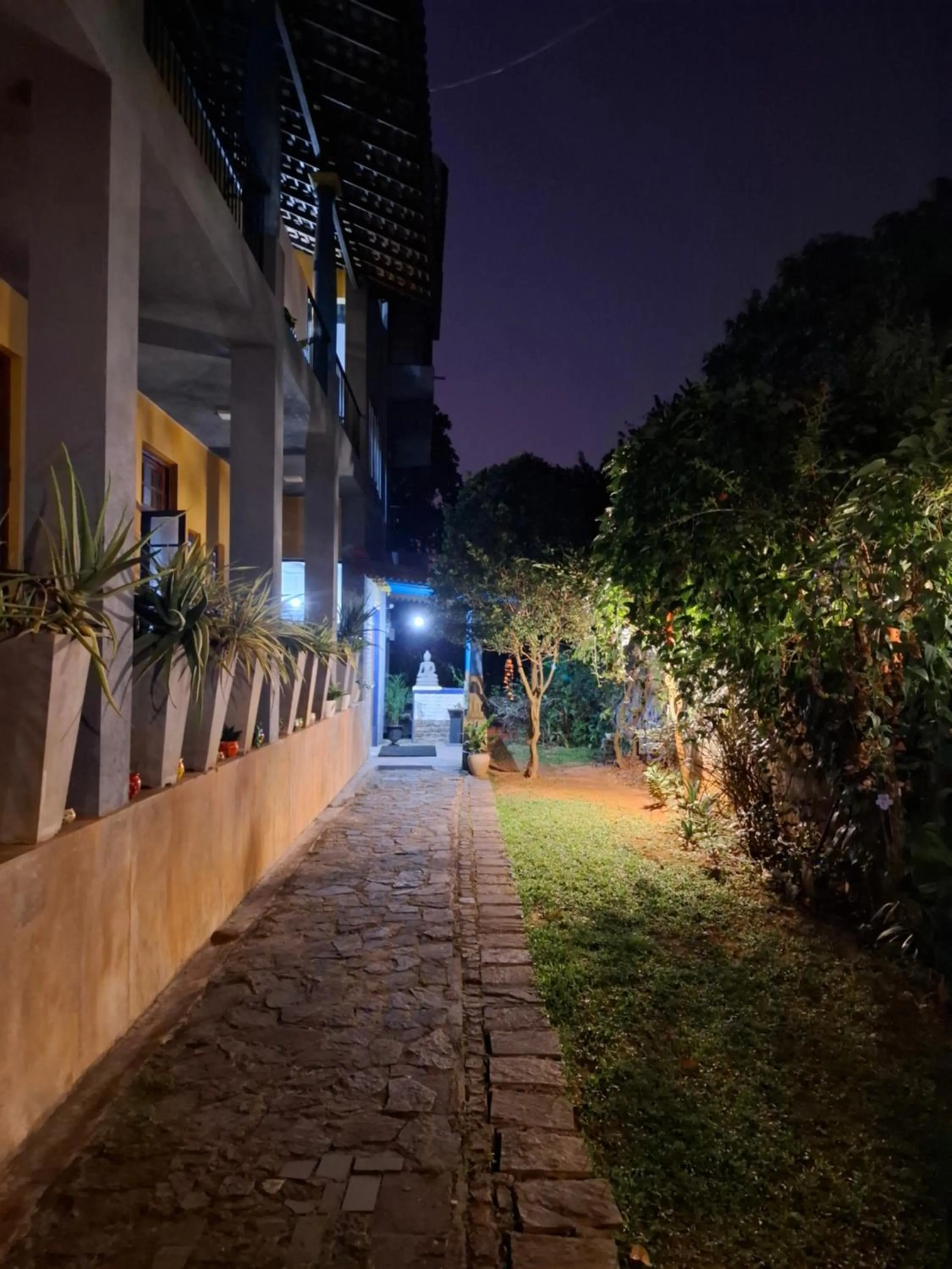 Night in Blue Pillars Kandy