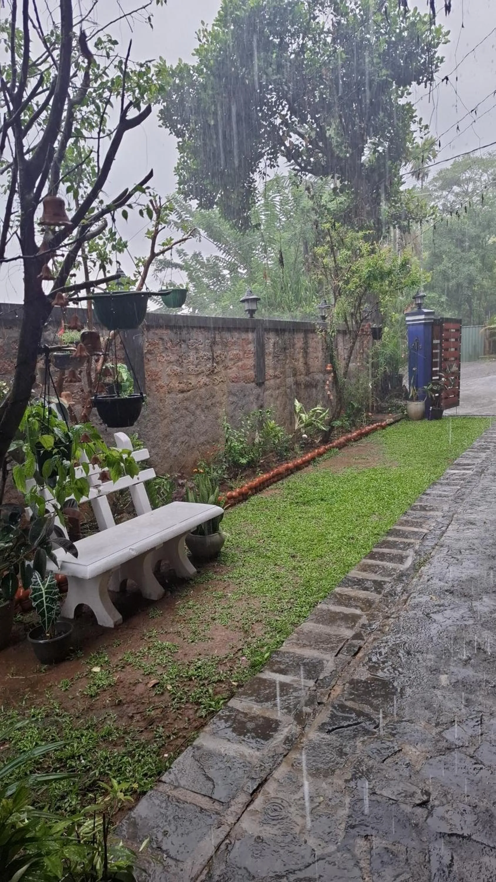 Garden in Blue Pillars Kandy