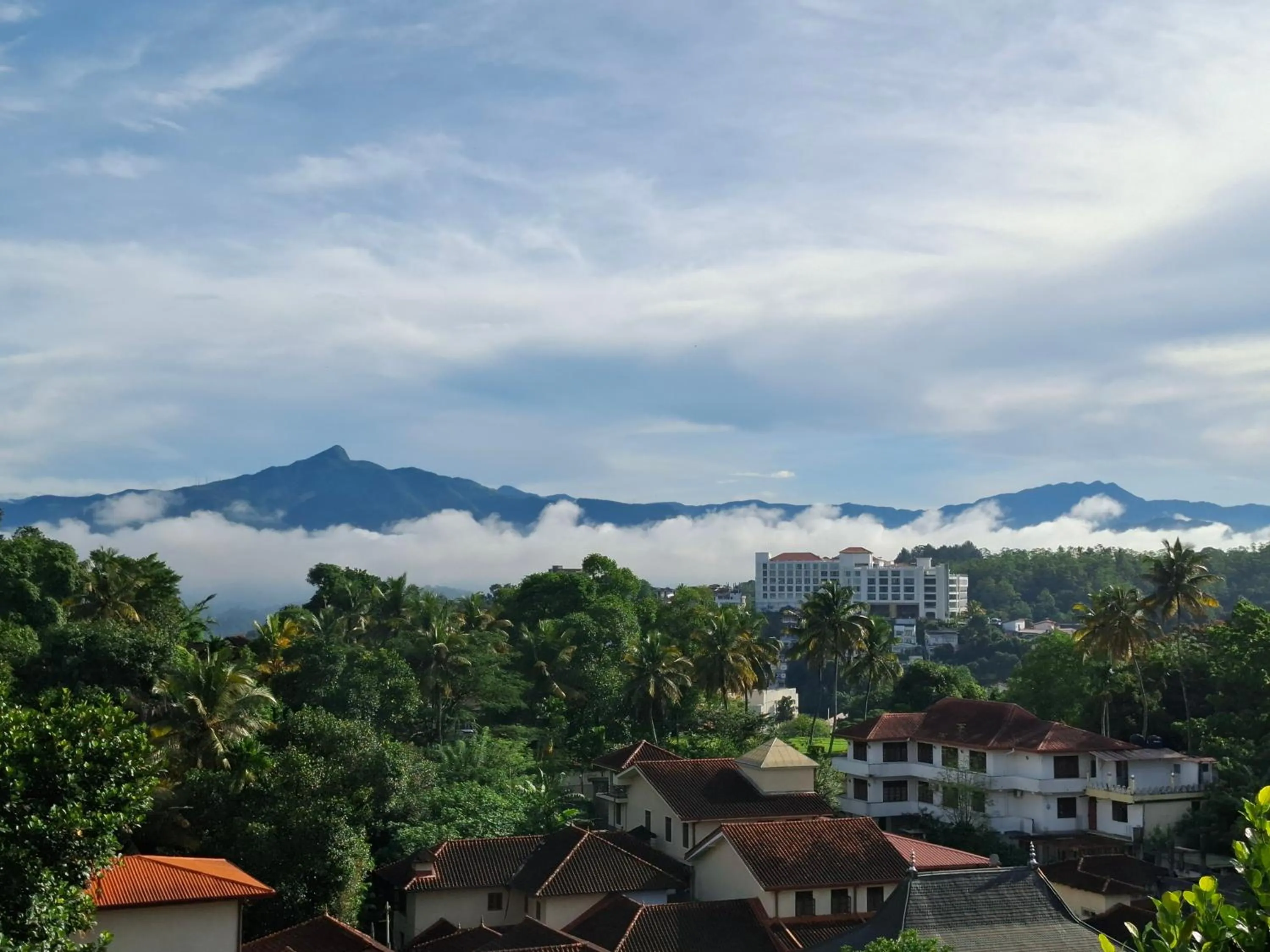 Mountain view in Blue Pillars Kandy
