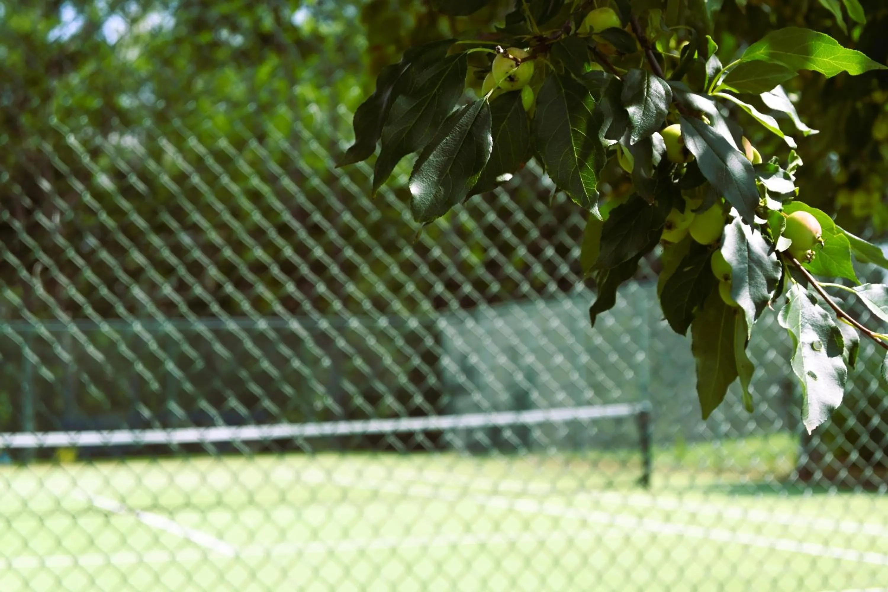 Tennis court in The Lodge at Jackson Village
