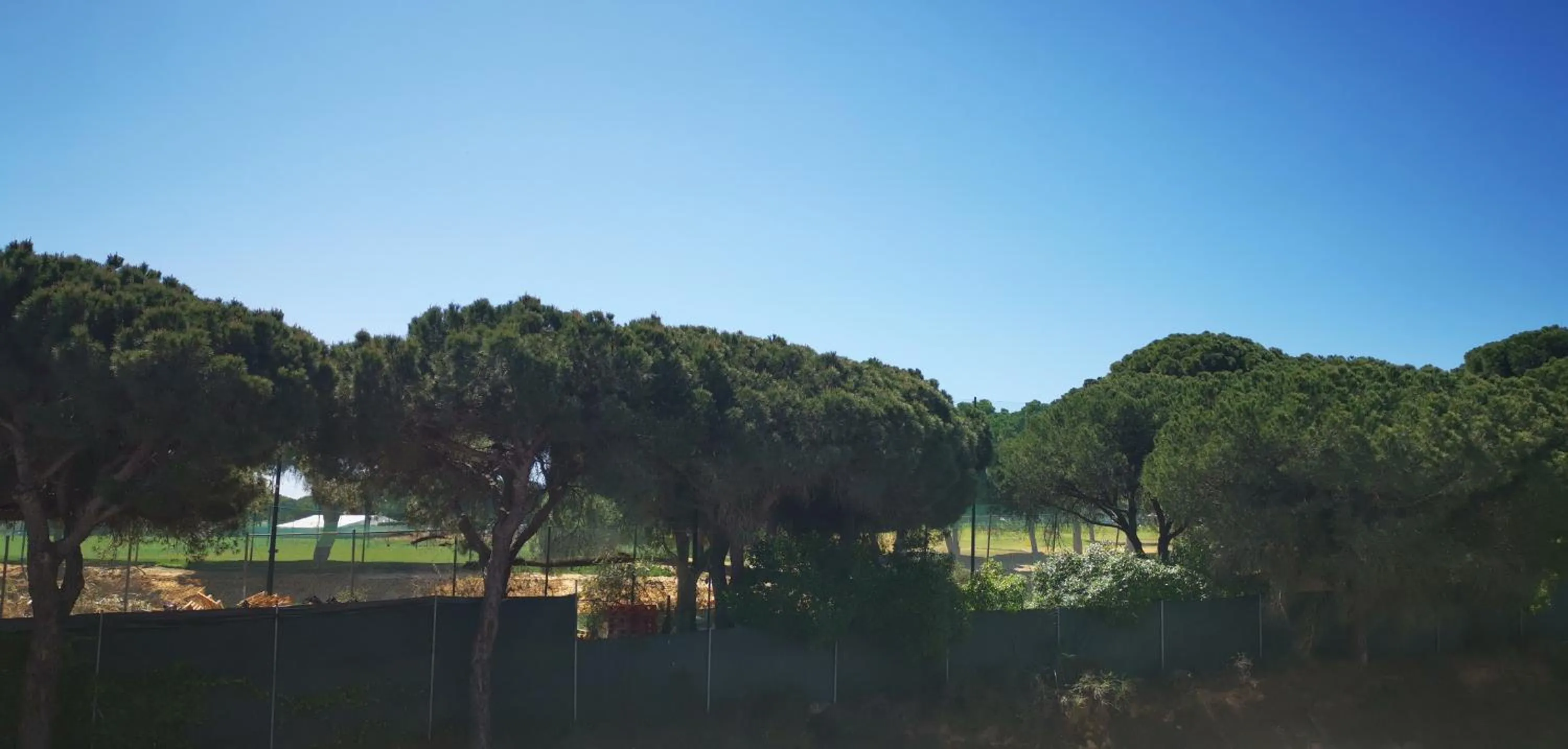 Natural landscape in Mira Parque