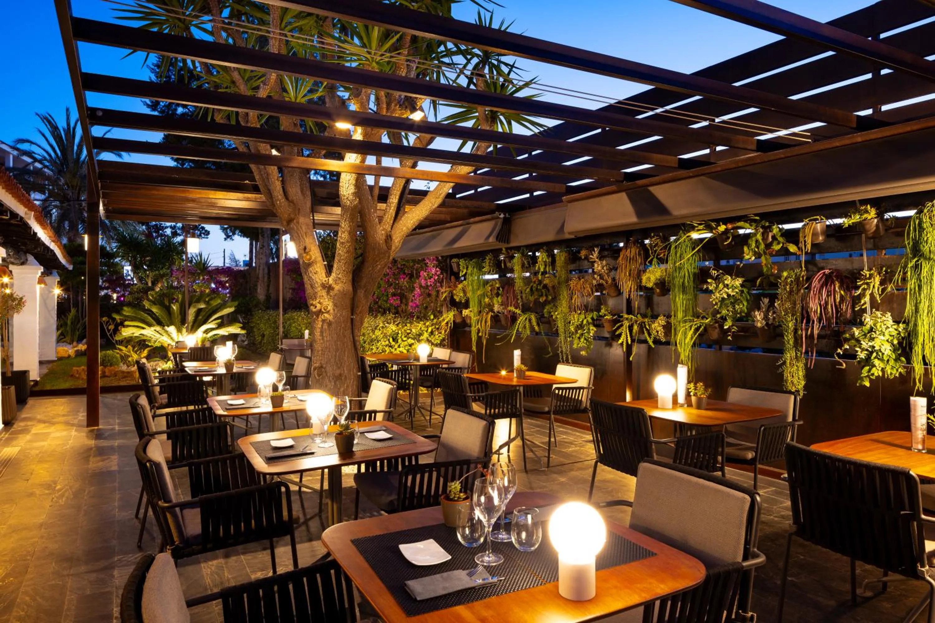 Restaurant/places to eat in Hotel Boutique Ses Pitreras