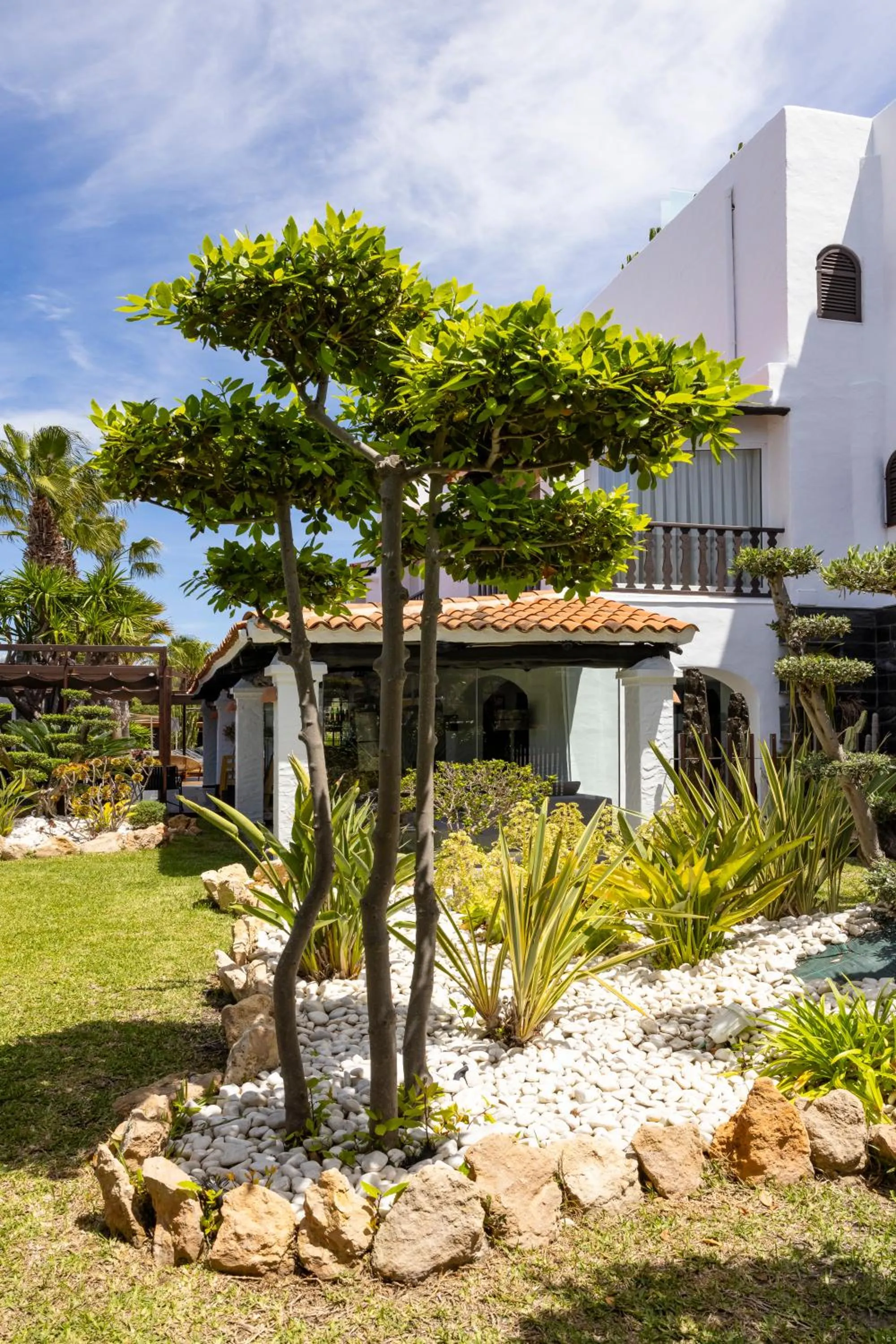 Garden in Hotel Boutique Ses Pitreras