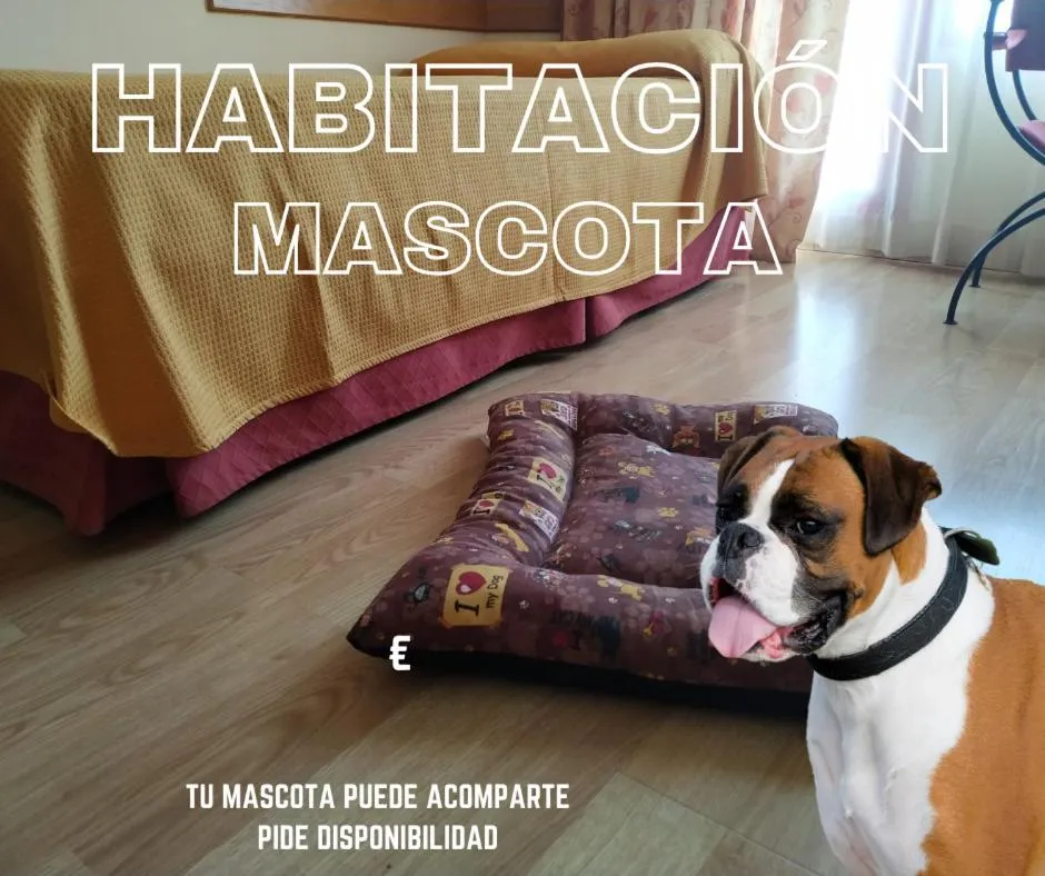 Animals in Área de Servicio El Cruce