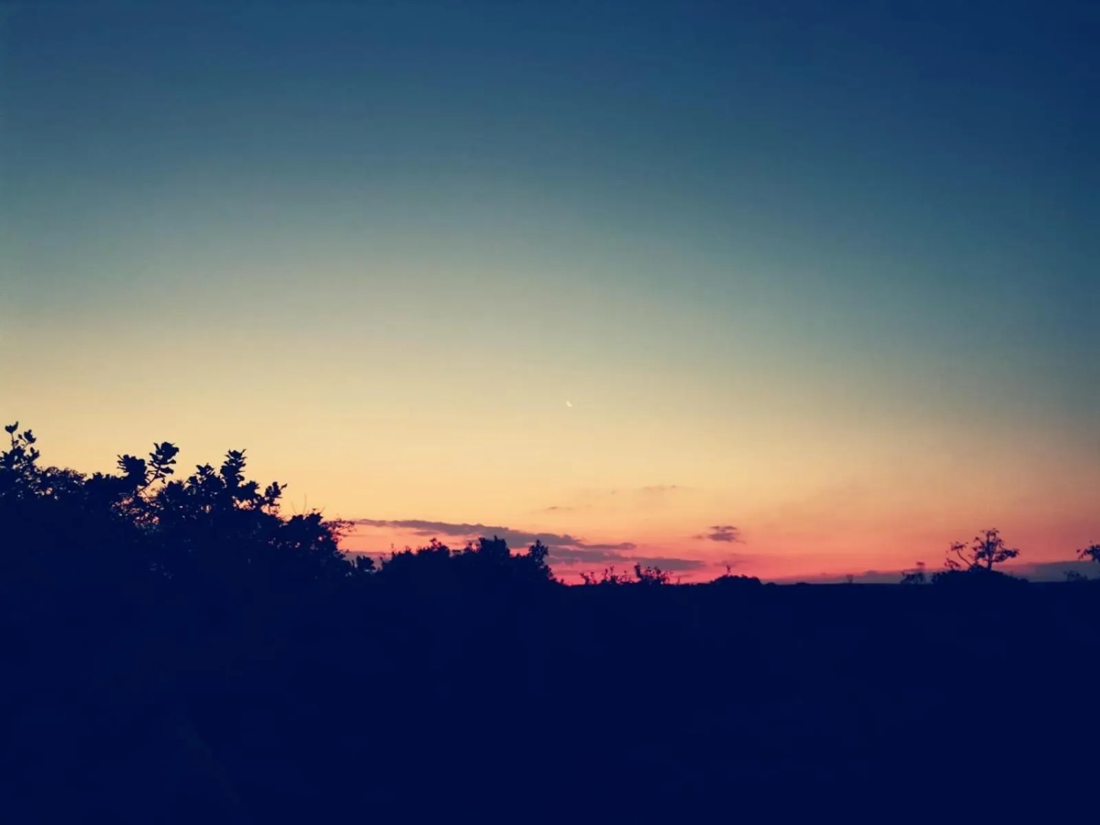 Sondela Nature Reserve & Spa Chalets