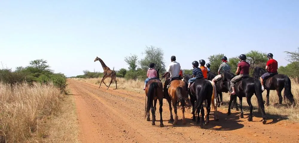 Sondela Nature Reserve & Spa Chalets