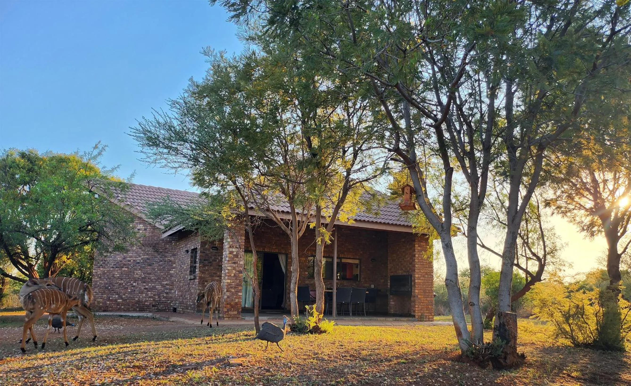 Sondela Nature Reserve & Spa Chalets