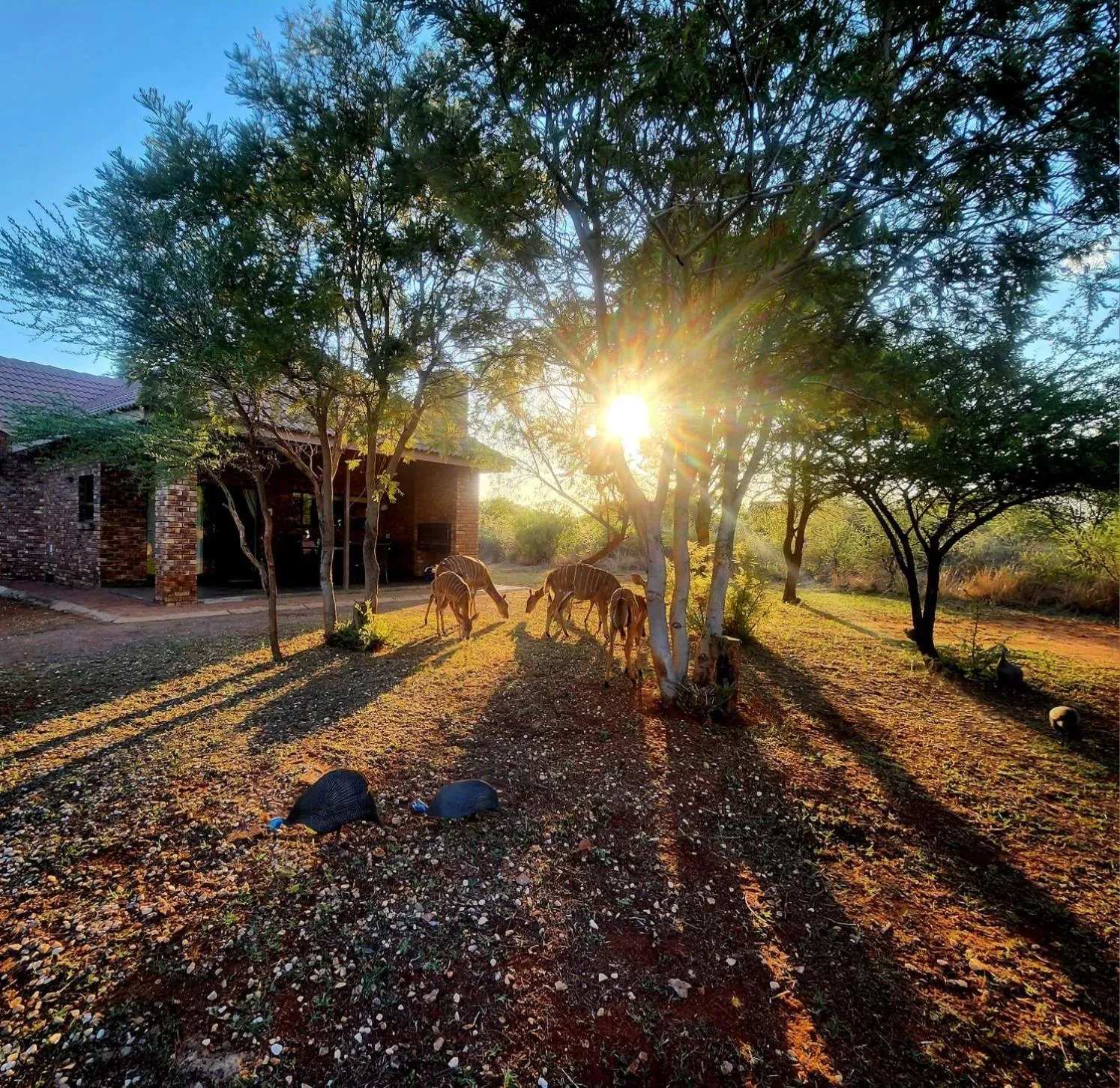 Sondela Nature Reserve & Spa Chalets