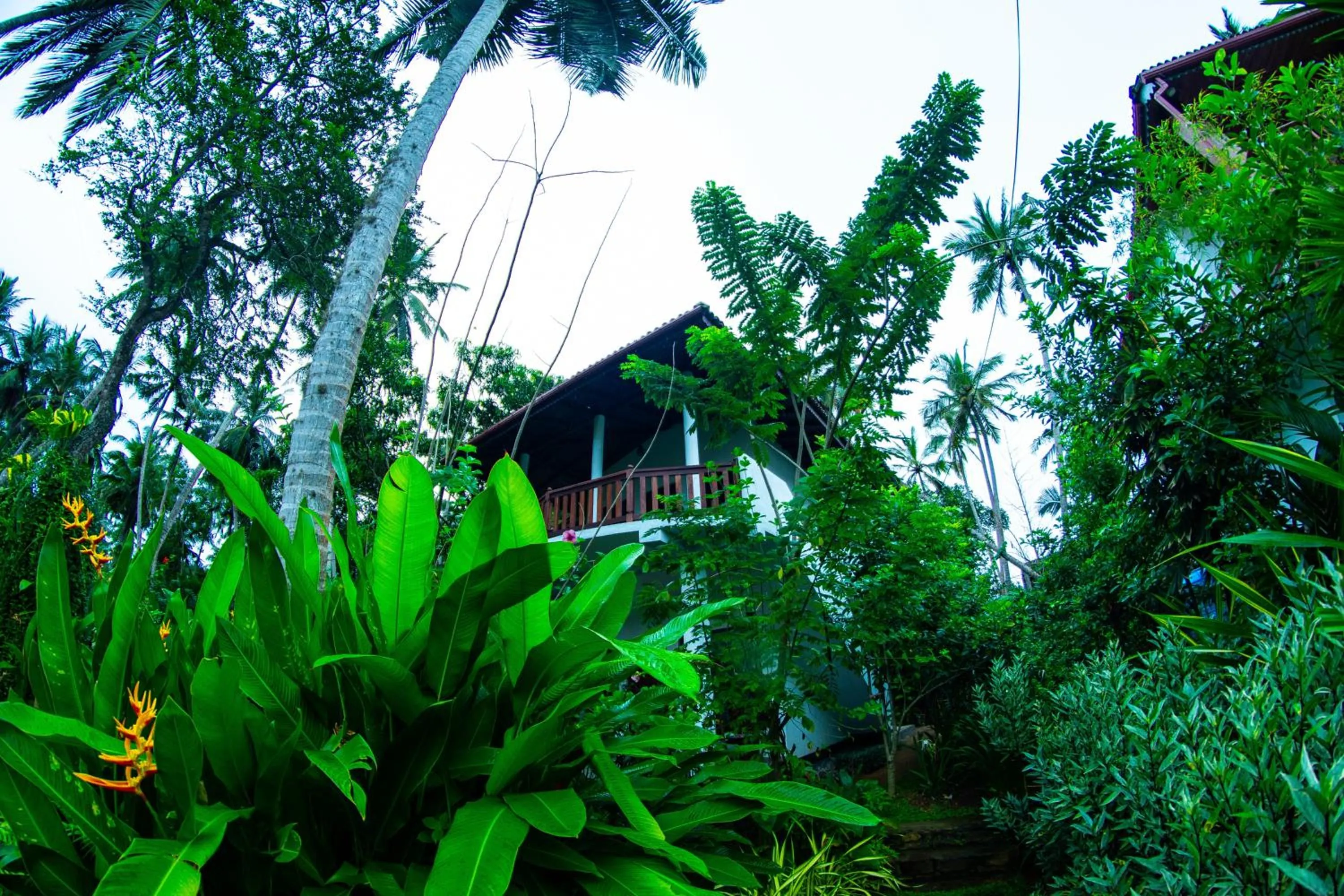Property building in Shadow Surf Bay