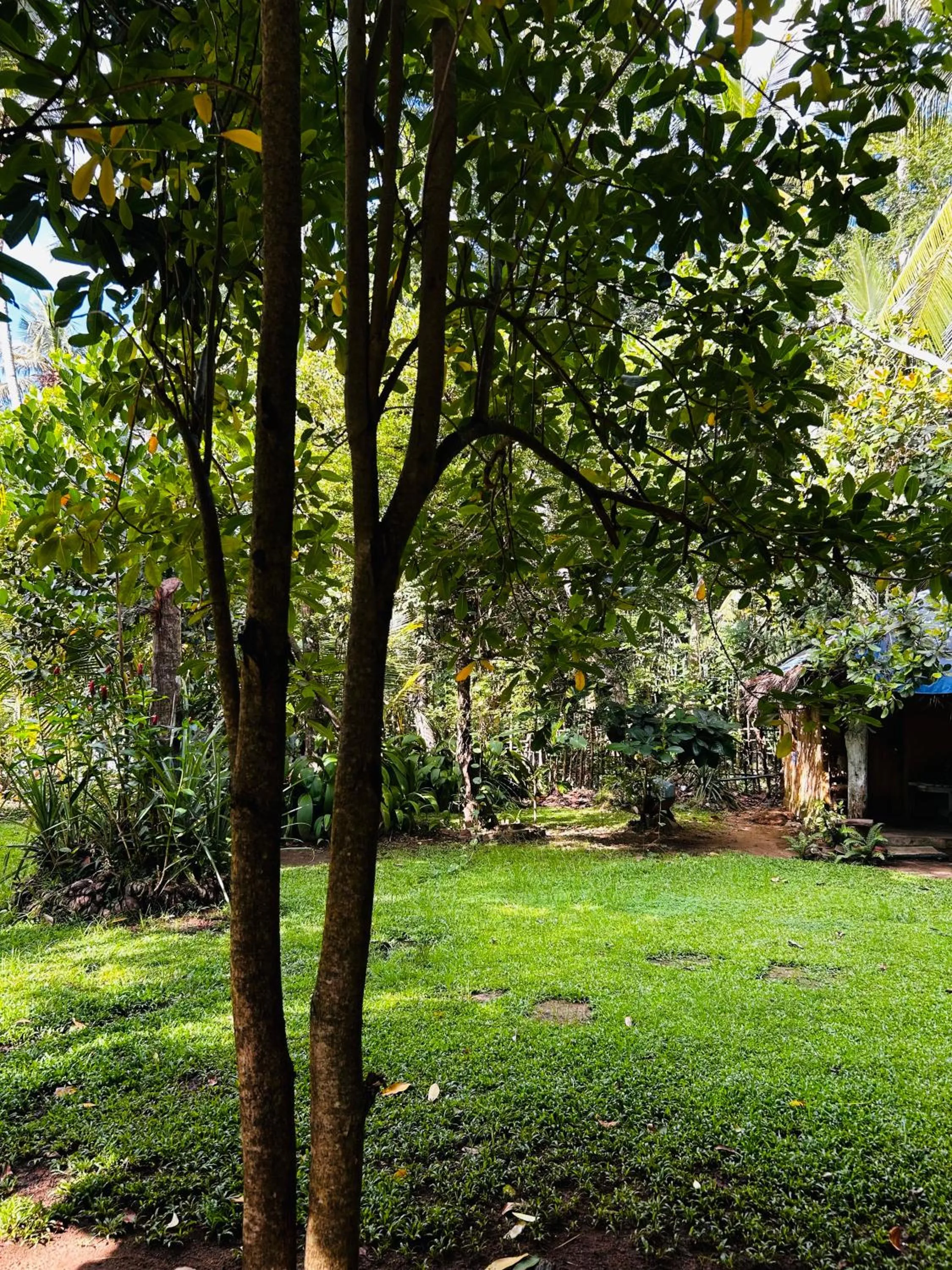 Spring in Shadow Surf Bay