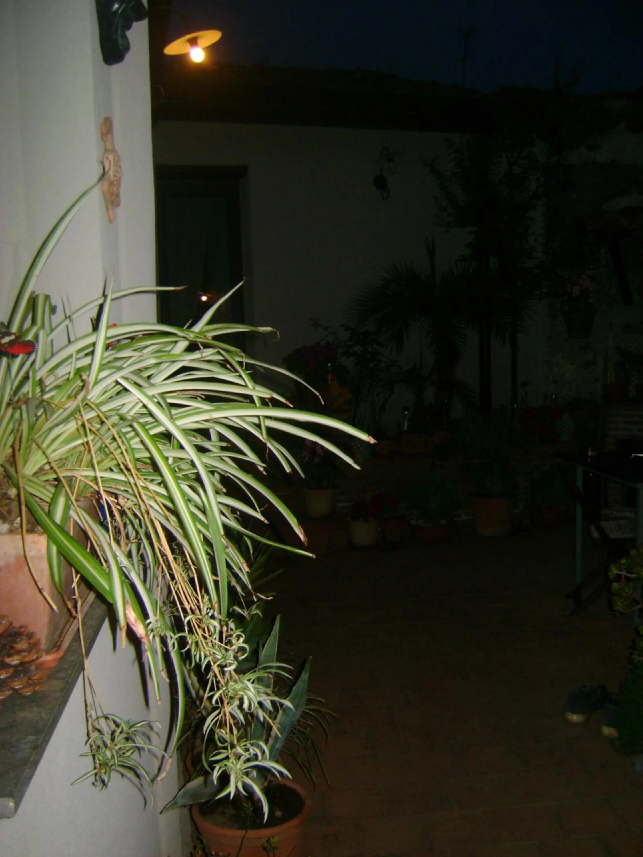 Decorative detail in Mauripe