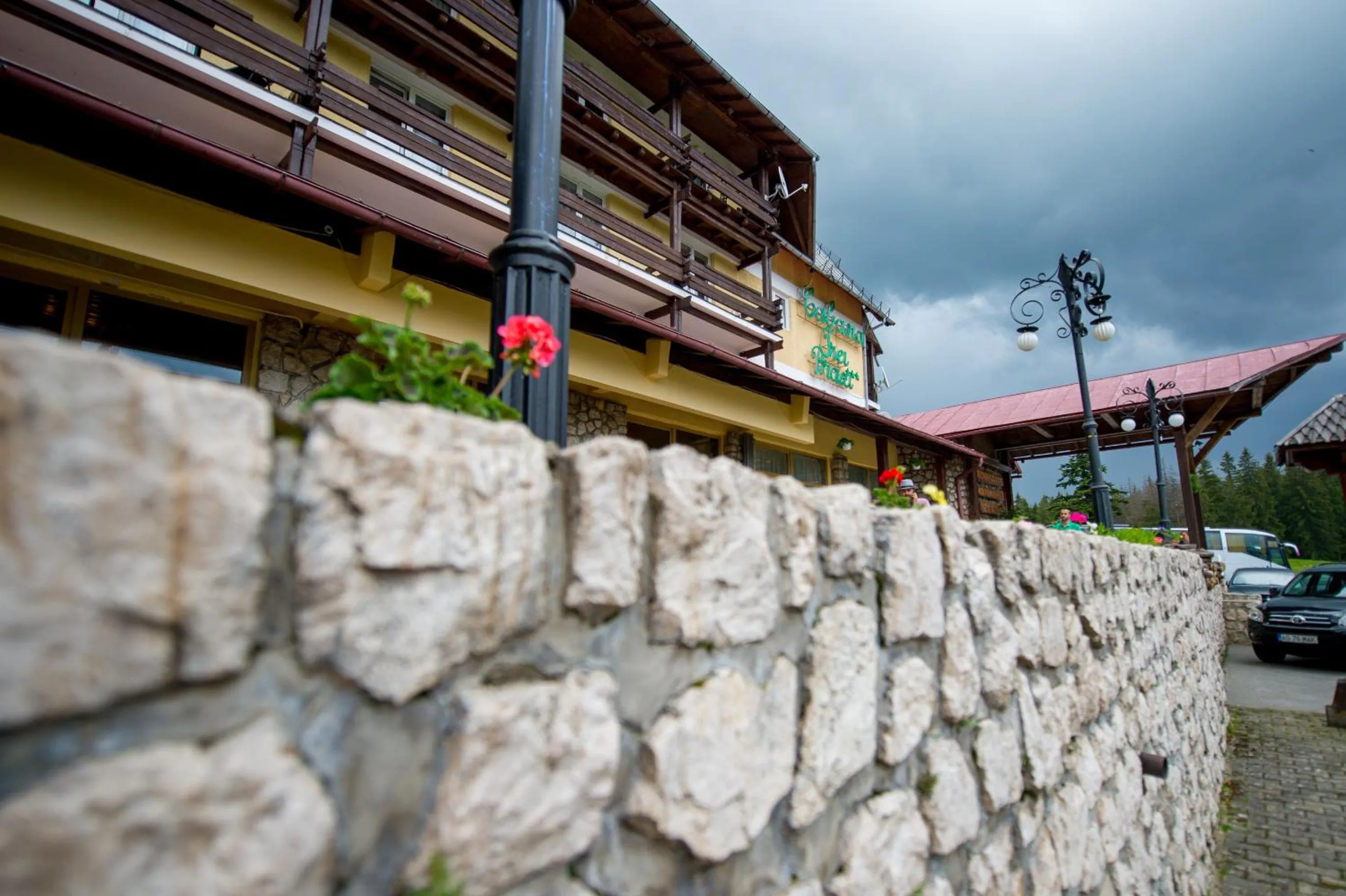Facade/entrance in Cabana Trei Brazi