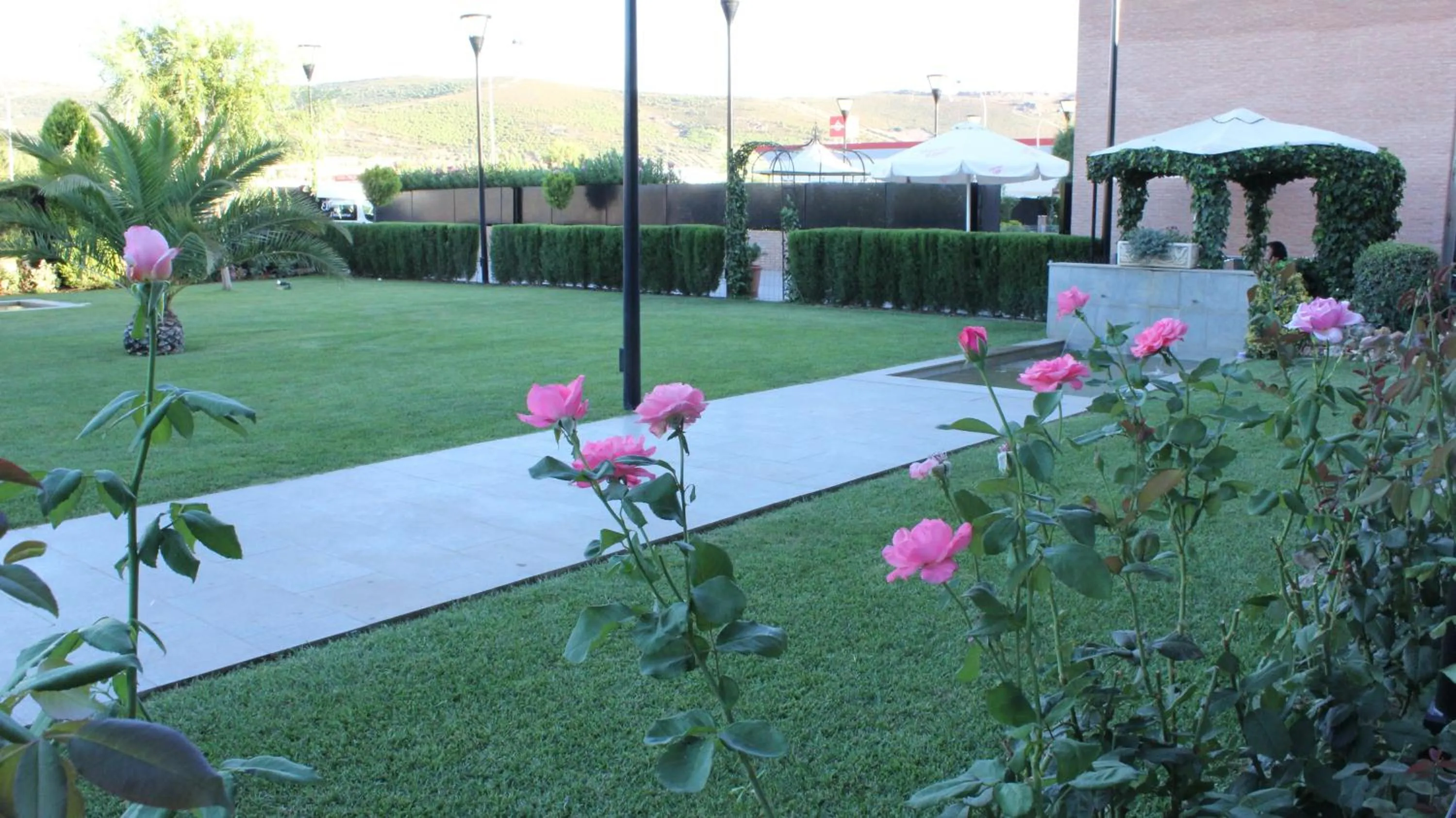 Garden in Escuderos Hotel Cruz