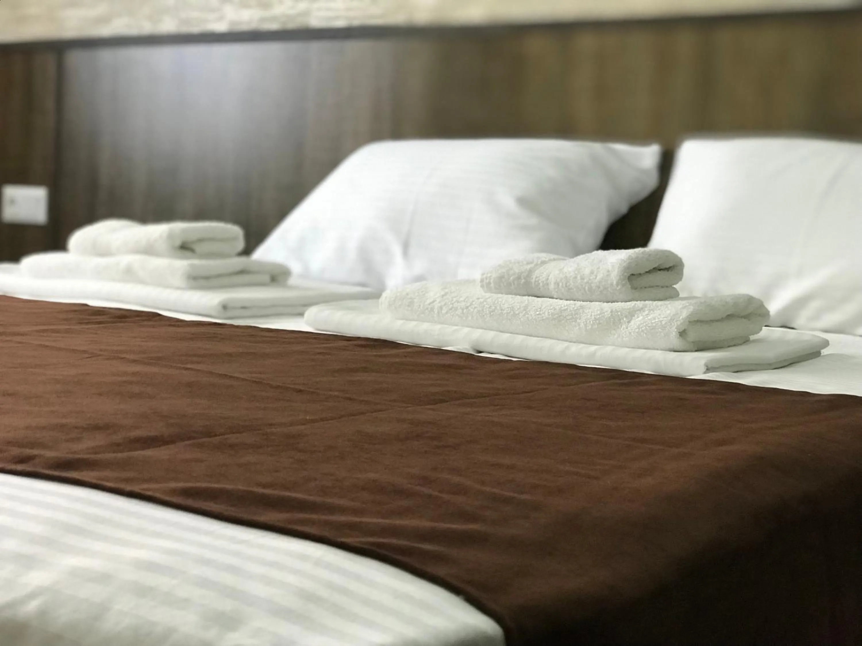 bunk bed, Bed in Hobby Hotel