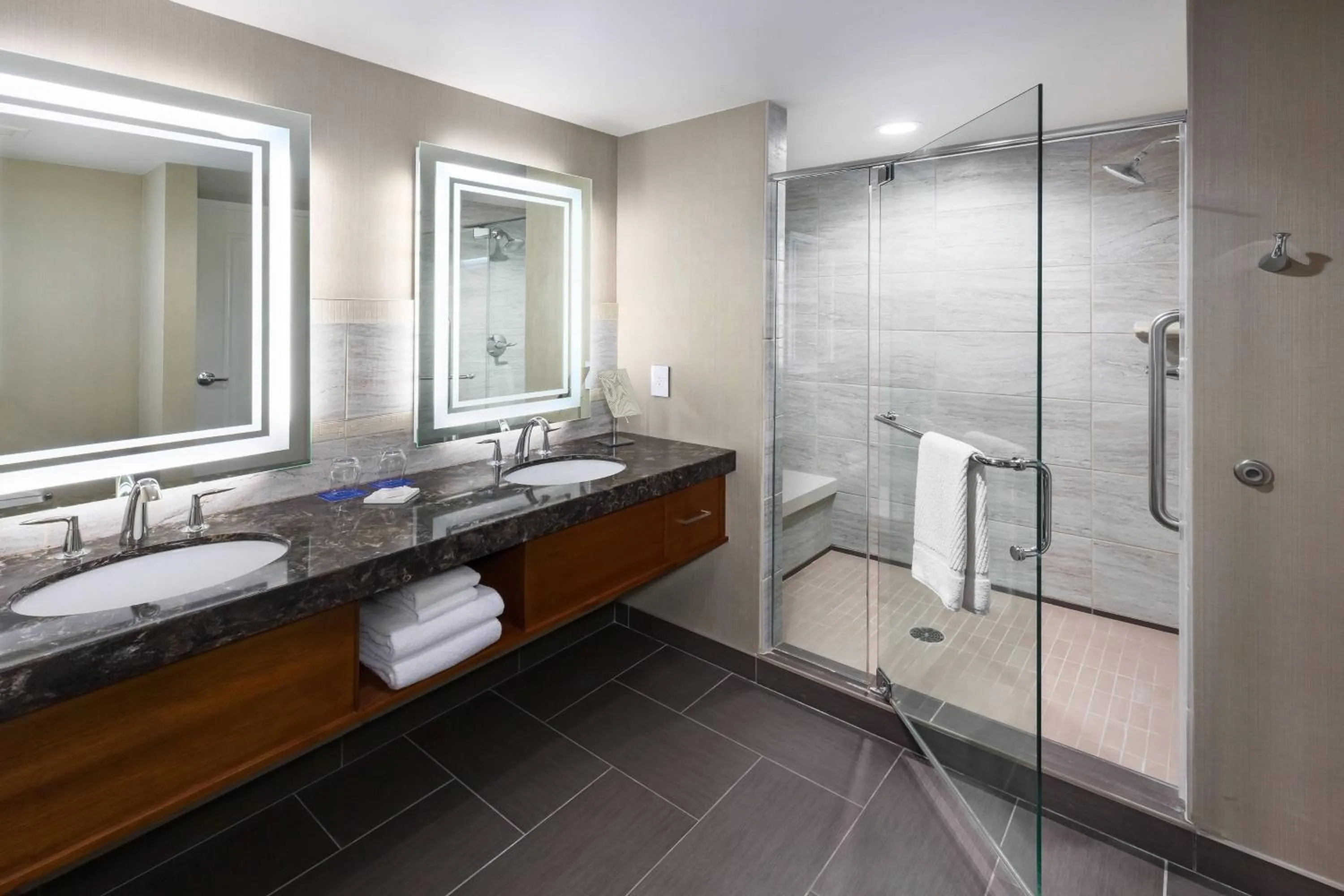 Bathroom, Bed in South Sioux City Marriott Riverfront