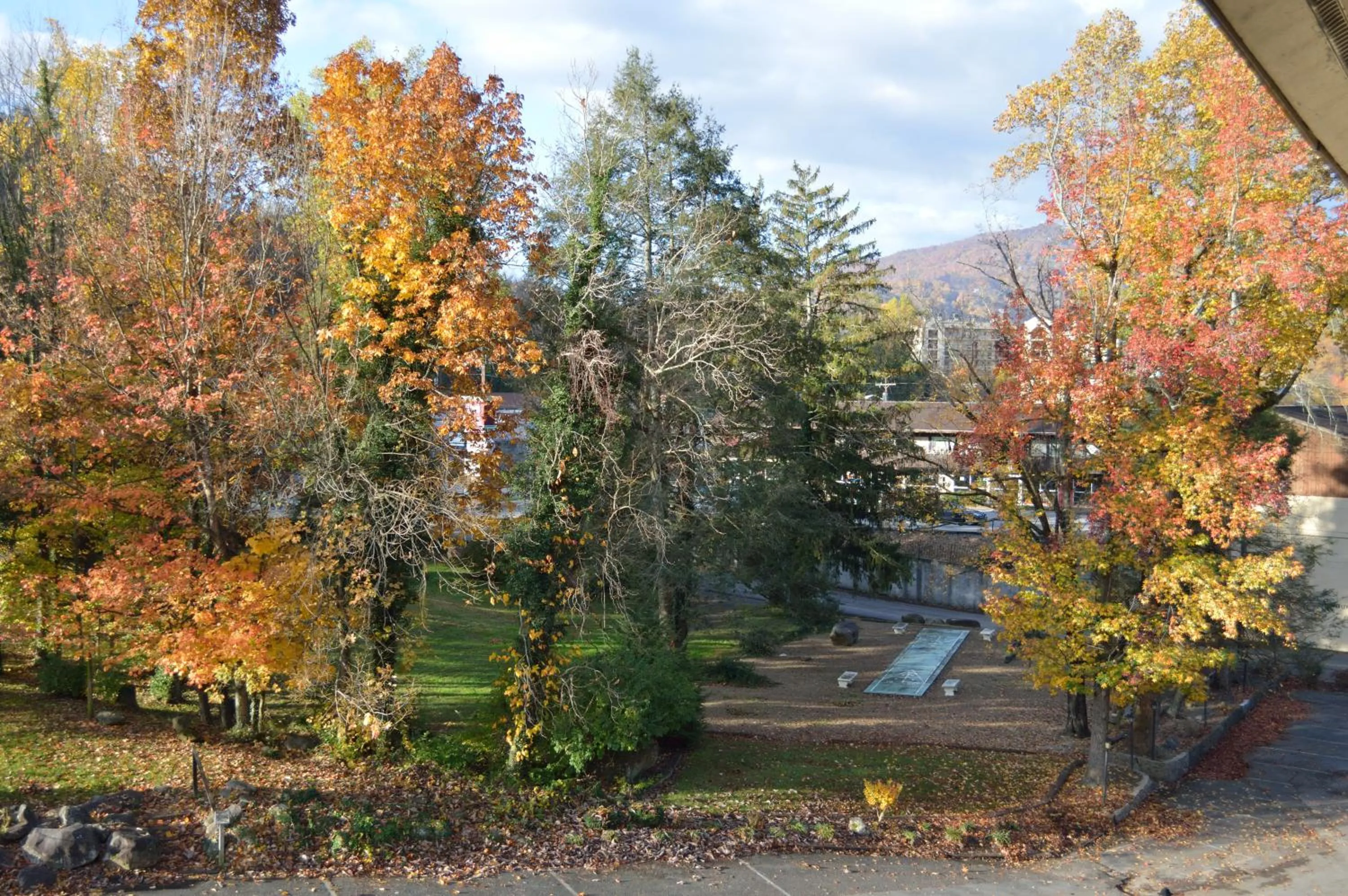View (from property/room) in Brookside Lodge