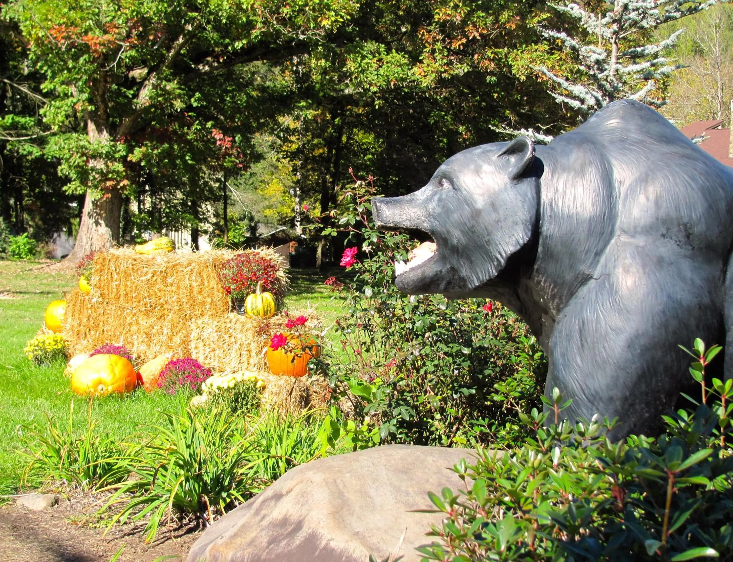 Garden in Brookside Lodge