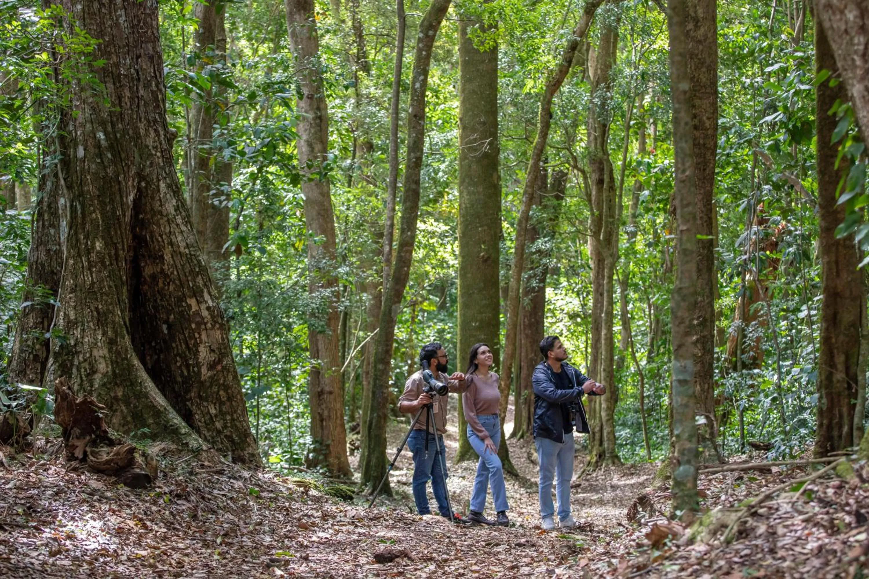 Activities in Hotel Finca Lerida Coffee Plantation and Boutique Hotel