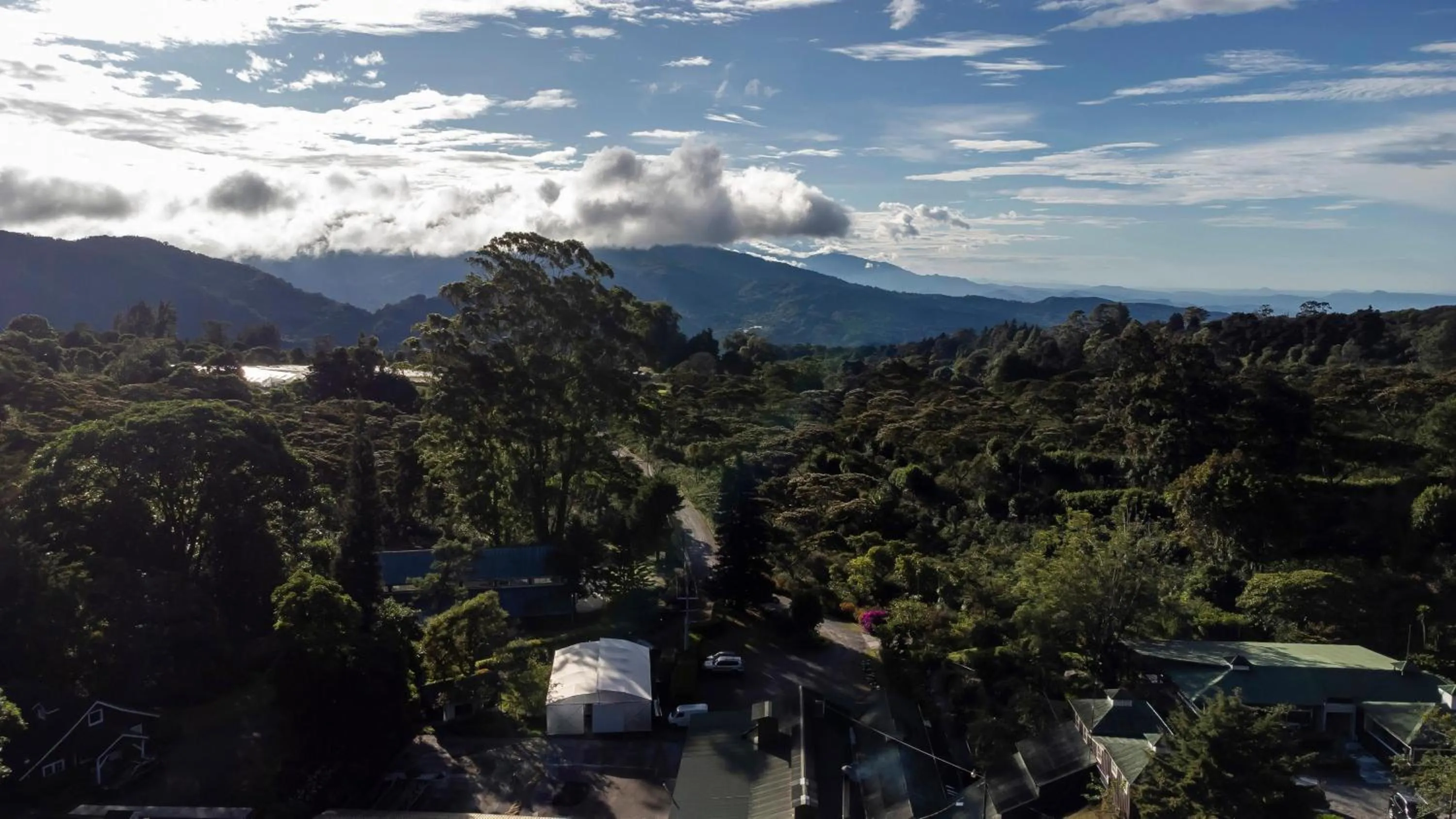 Natural landscape in Hotel Finca Lerida Coffee Plantation and Boutique Hotel