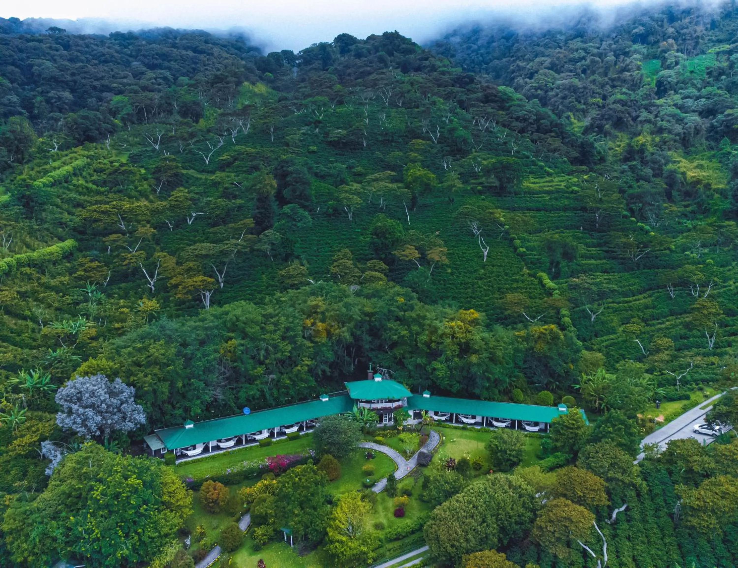 Bird's eye view in Hotel Finca Lerida Coffee Plantation and Boutique Hotel
