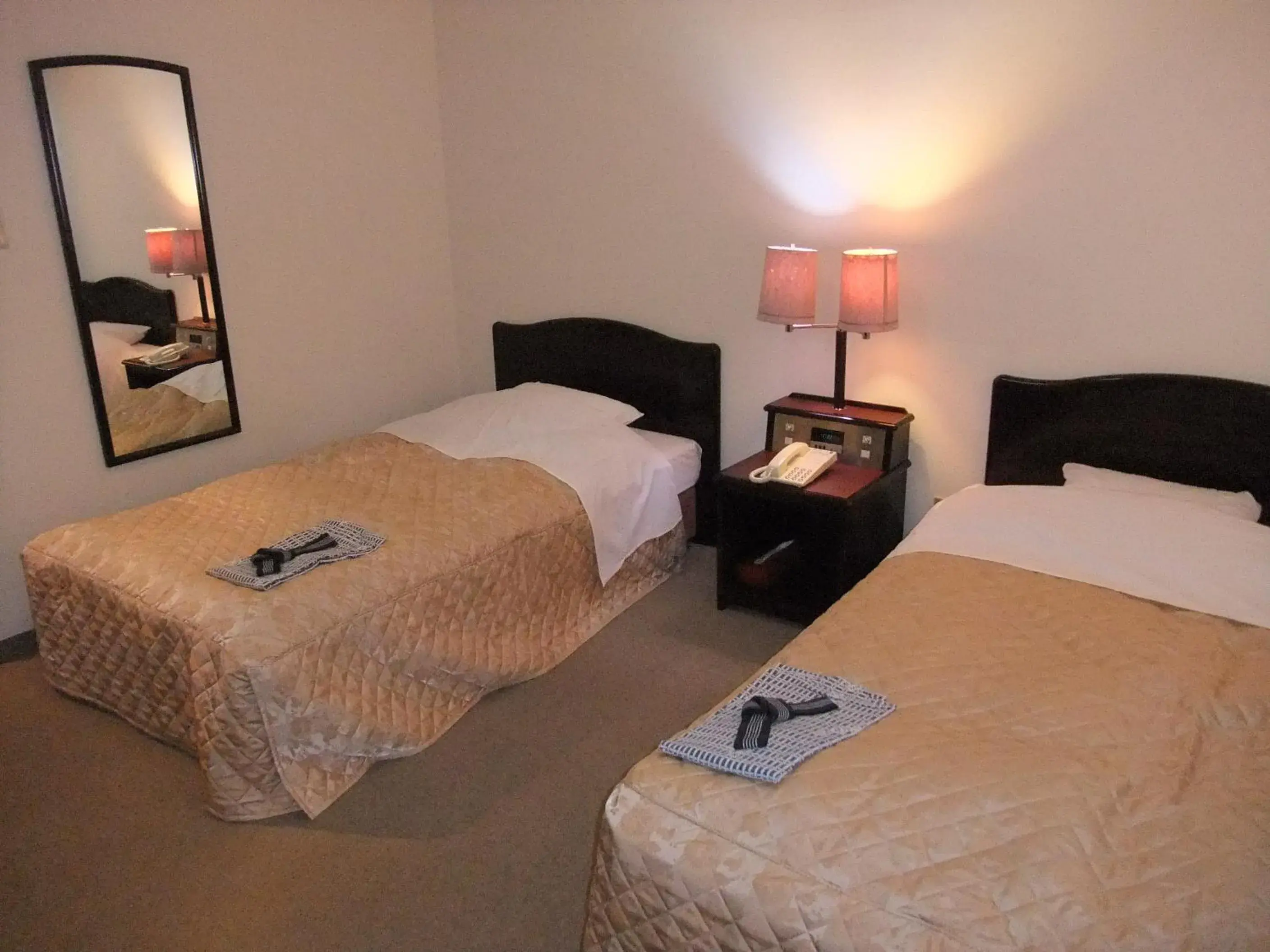 Twin Room in Hotel New Takahashi Tsukuba-Ushiku IC Kouyadai Twin Room in Hotel New Takahashi Tsukuba-Ushiku IC Kouyadai