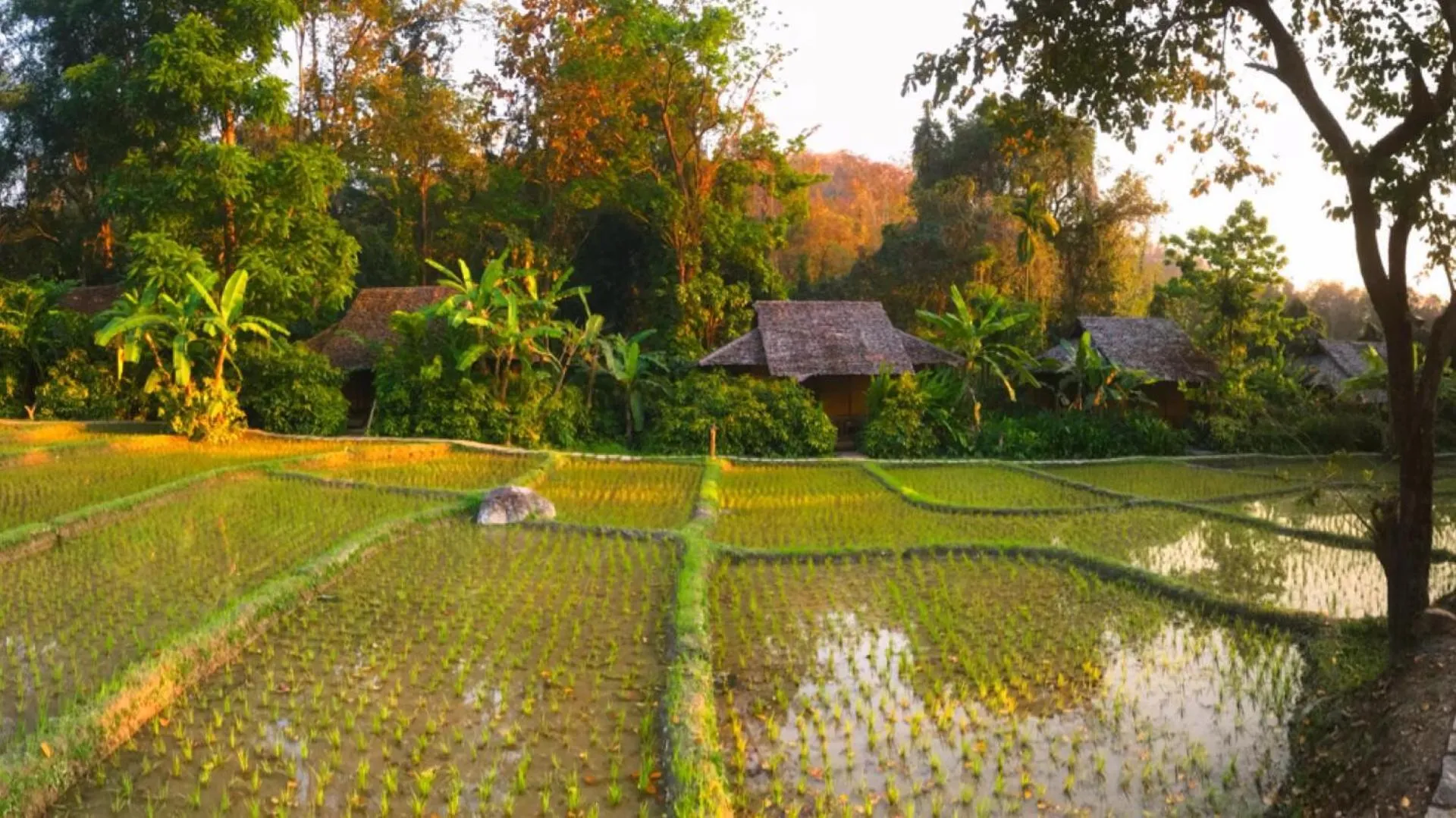 Garden in Fern Resort Mae Hong Son